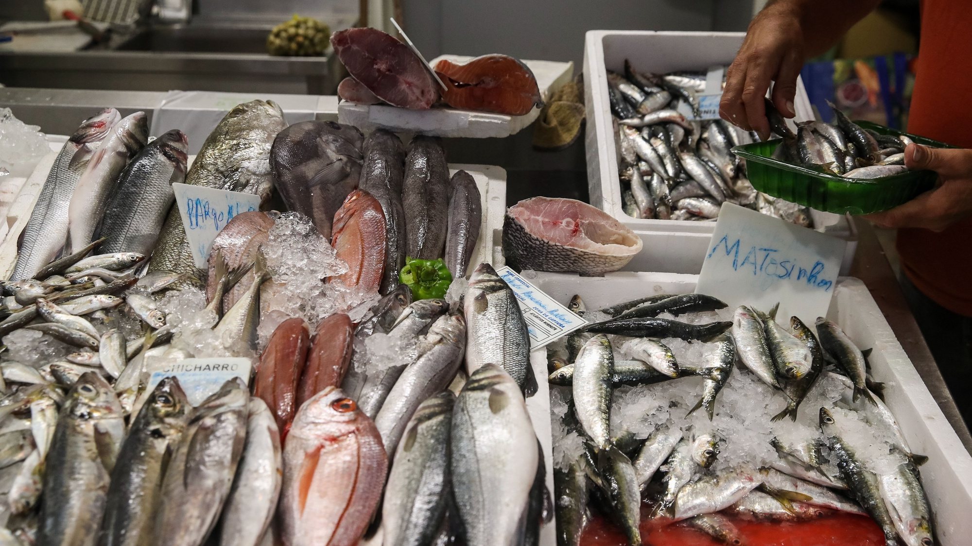Uma banca de peixe no Mercado municipal de Viseu, em Viseu, 24 de setembro de 2022. PAULO NOVAIS/LUSA