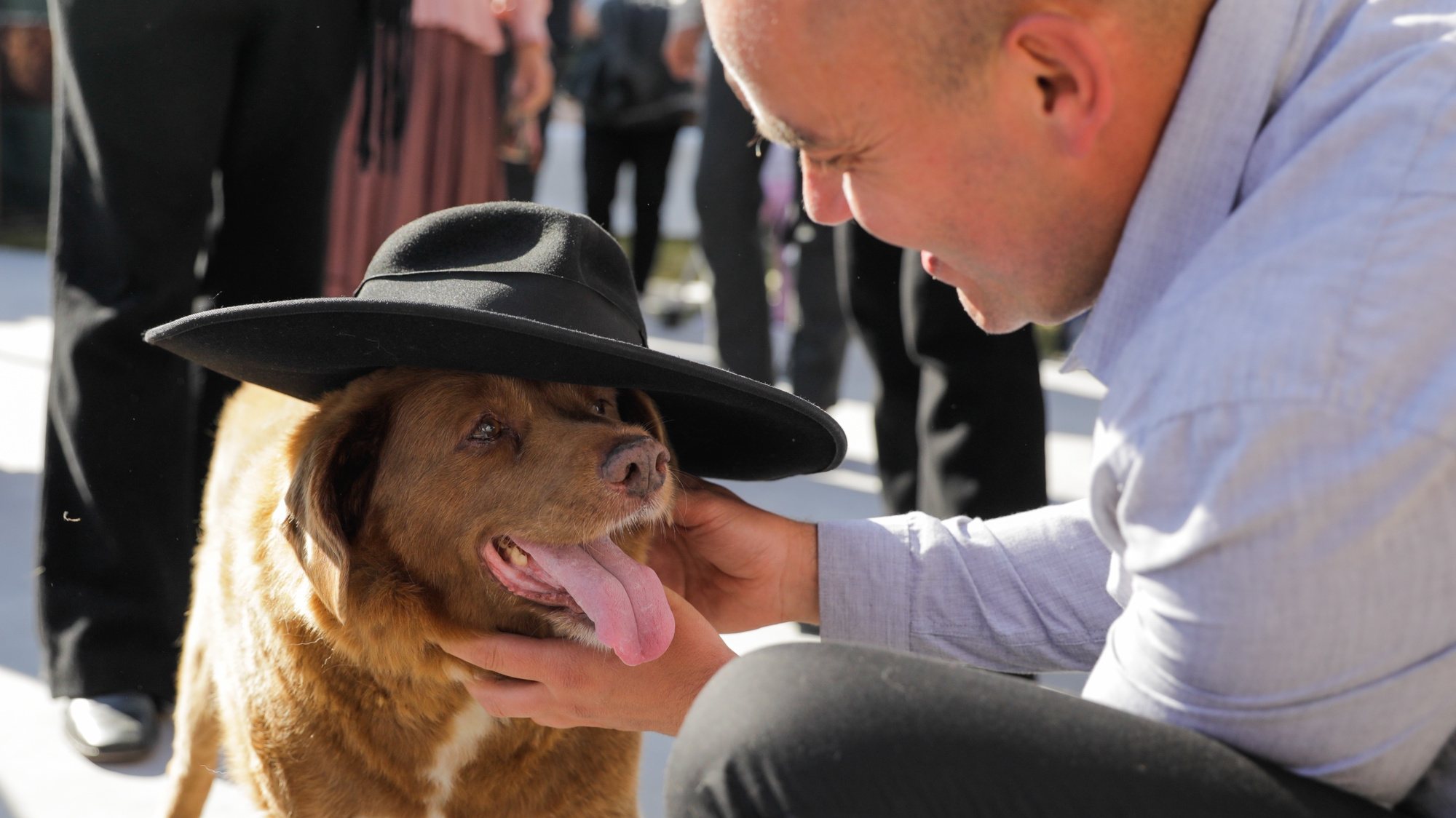 Leonel Costa plays with Bobi, a 31-year-old dog, that has celebrated his birthday as a celebrity in rural village of Conqueiros, in Leiria, central Portugal after being declared the world&#039;s oldest dog ever two months ago by Guinness World Records, Leiria, 13 May 2023. Bobi&#039;s owner kept him in secret as a child after his parents said they couldn&#039;t keep the litter of new pups. His owners attribute his longevity to his diet of human food. PAULO CUNHA/LUSA