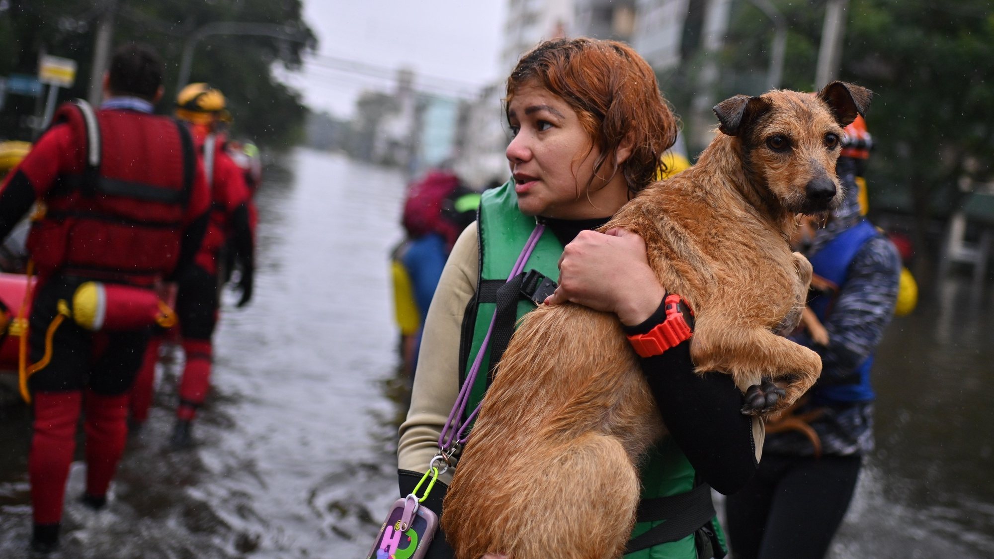 epaselect epa11346450 A woman holds a dog rescued in a flooded area in the municipality of Canoas, Rio Grande do Sul state, Brazil, 16 May 2024. On 16 May, Brazilian rescue forces rescued several people with hypothermia who were still sheltering in their homes, amid the floods that have kept a large part of the city of Porto Alegre under water for almost two weeks. The municipality of Canoas, one of the most affected by the unprecedented flooding of the GuaÃ­ba River, has nearly 70,000 houses surrounded and flooded by water.  EPA/Andre Borges