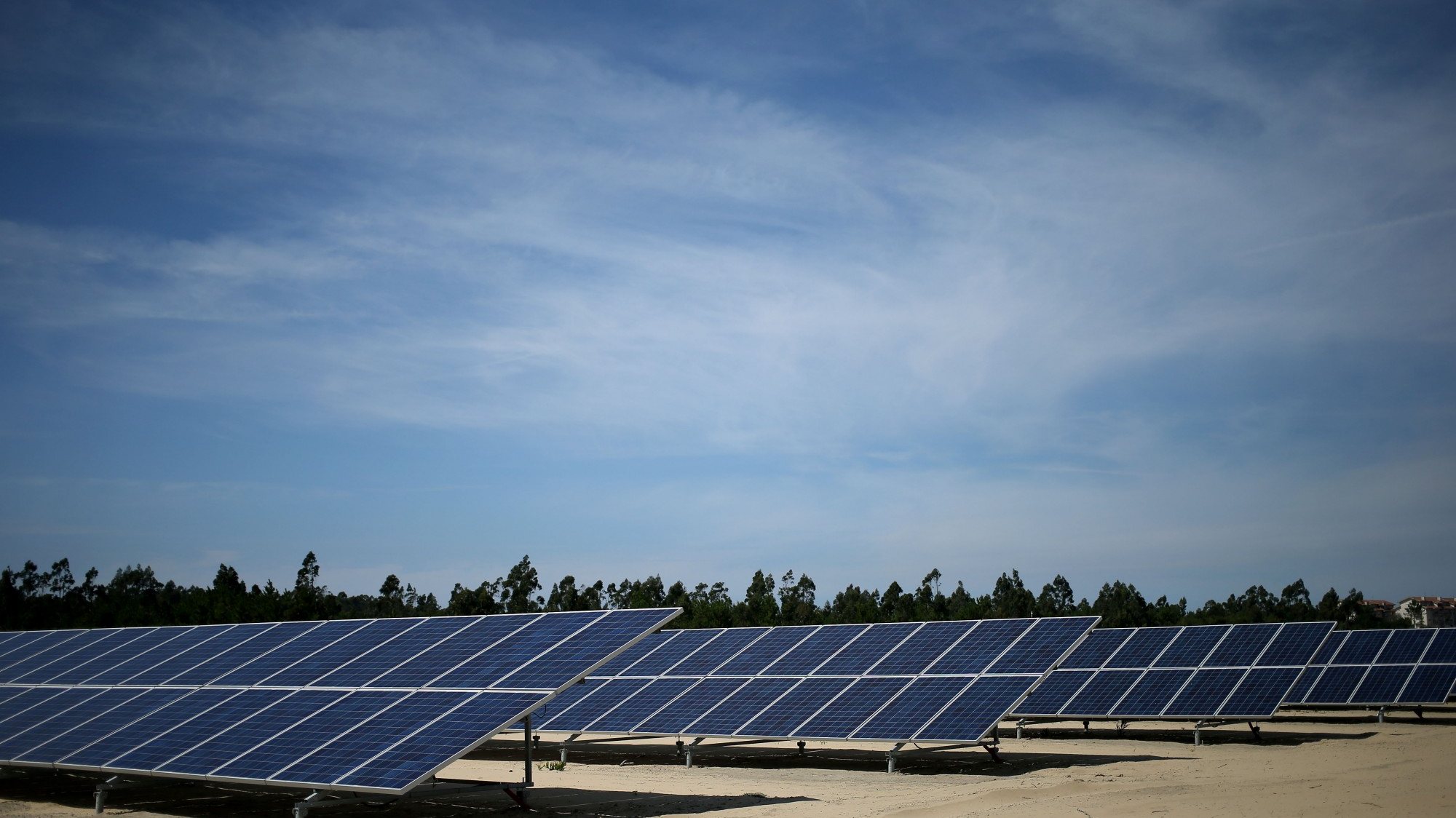 Empresa produziu em 2019 cerca de 10 mil painéis solares e exportou para cerca de 50 países