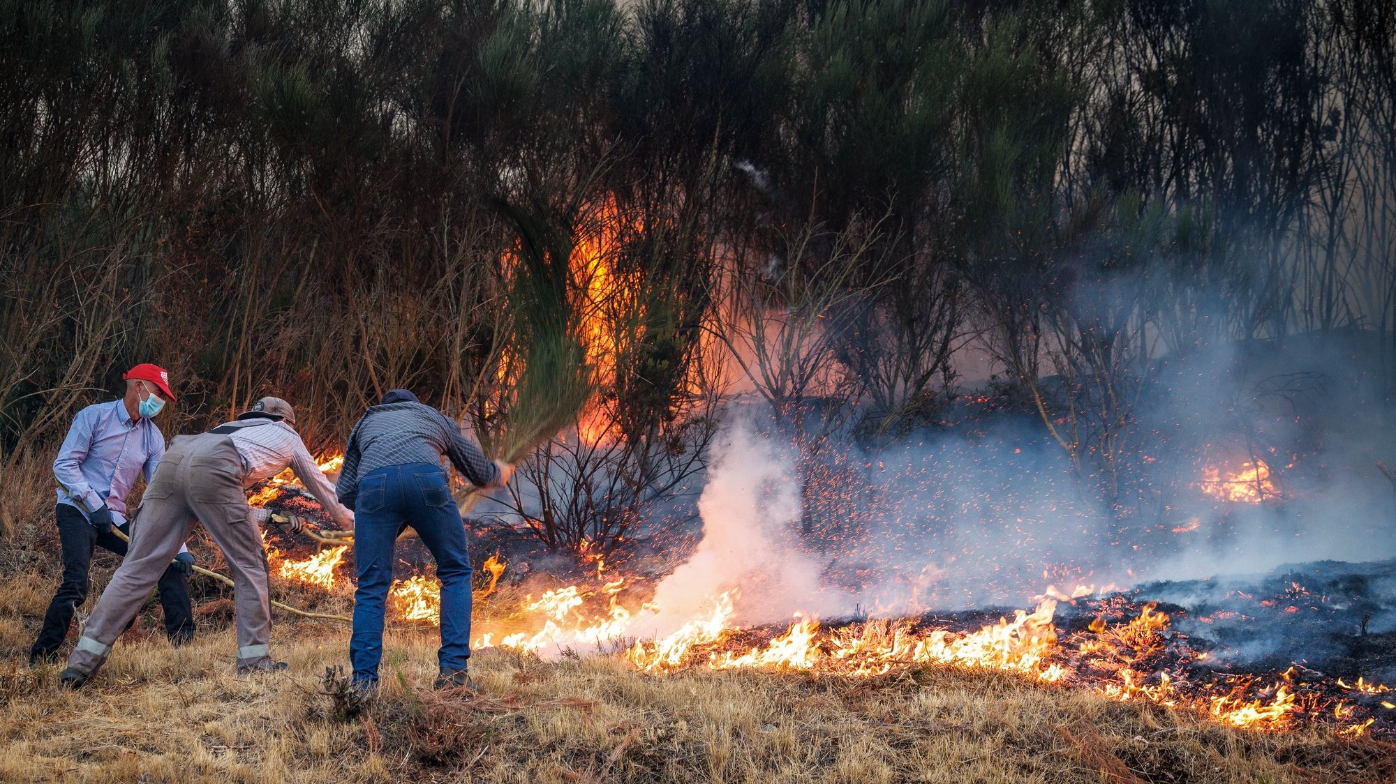 Populares tentam apagar o fogo na aldeia de Covelo que se viu envolvida pelas chamas, esta tarde, em Vila Real,  21 de agosto 2022.  PEDRO SARMENTO COSTA/LUSA