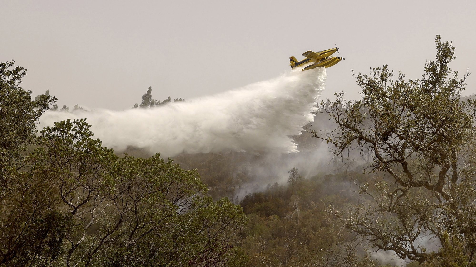 epa10791879 An aircraft drops water on a fire burning in the Gale de Cima area in the municipality of Aljezur, south of Portugal, 09 August 2023. The rural fire that broke out on 05 August in Odemira and entered the municipalities of Monchique and Aljezur (Faro), destroying at least two houses and a rural tourism unit, as well as several outbuildings.  EPA/MIGUEL A. LOPES
