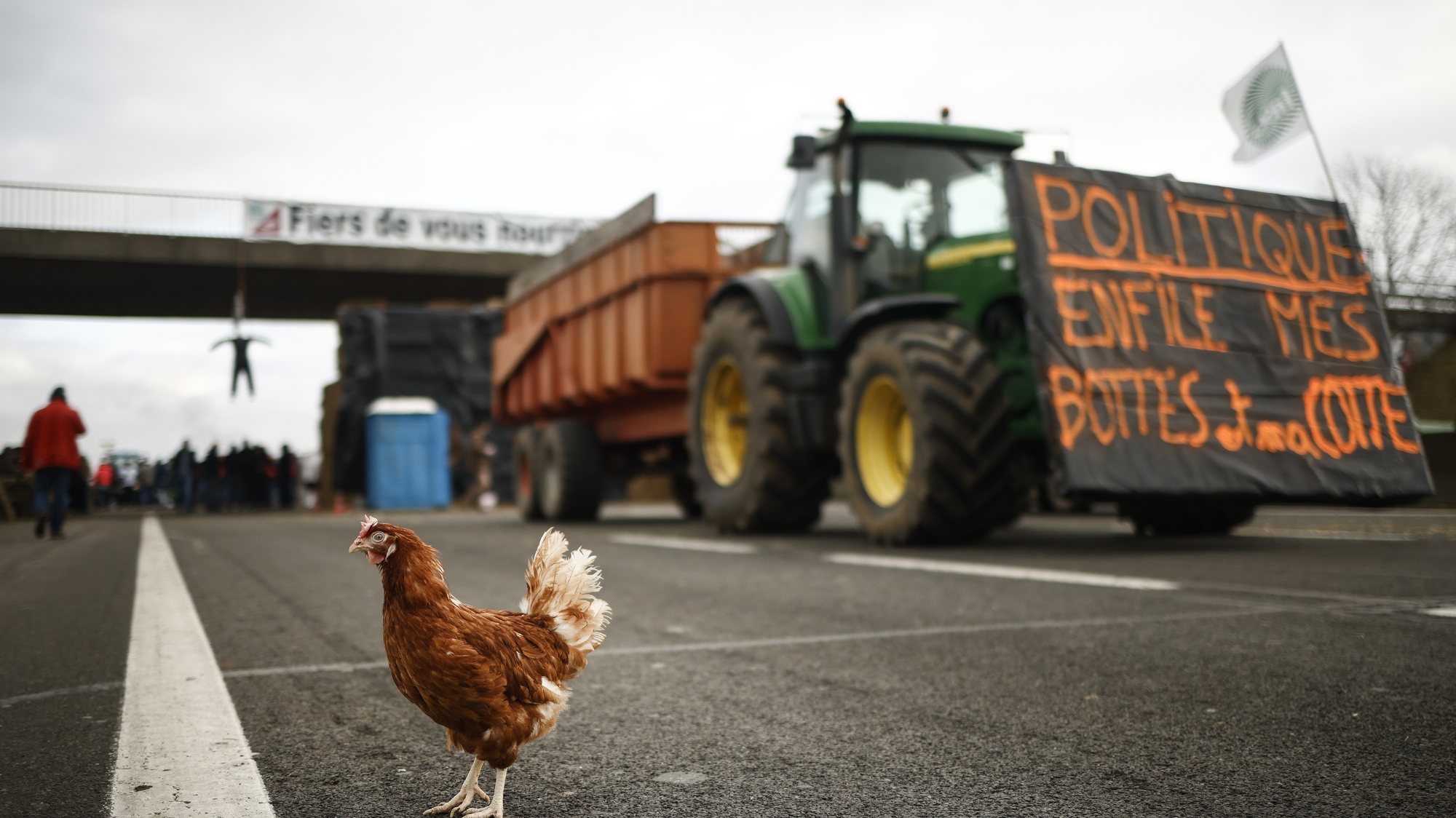 epaselect epa11114138 A rooster walks on the A4 motorway during a blockade at Jossigny, east of Paris, France, 30 January 2024. French farmers continue their protests with road blockades and demonstrations in front of state buildings awaiting a response from the government to their request for &#039;immediate&#039; aid of several hundred million euros. On 23 January, the EU Agriculture and Fisheries Council highlighted the importance of providing the conditions necessary to enable EU farmers to ensure food security sustainably and profitably, as well as ensuring a fair income for farmers.  EPA/YOAN VALAT