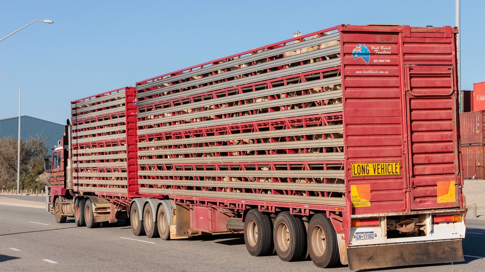 epa11147067 Sheep are seen being transported by road after being disembarked from the MV Bahijah at the Port of Fremantle in Perth, Australia, 12 February 2024. About 15,000 animals have been packed aboard the MV Bahijah since 05 January, when it sailed for the Middle East from Perth&#039;s Fremantle port before being ordered to abandon its voyage due to Houthi rebel attacks in the Red Sea.  EPA/RICHARD WAINWRIGHT  AUSTRALIA AND NEW ZEALAND OUT