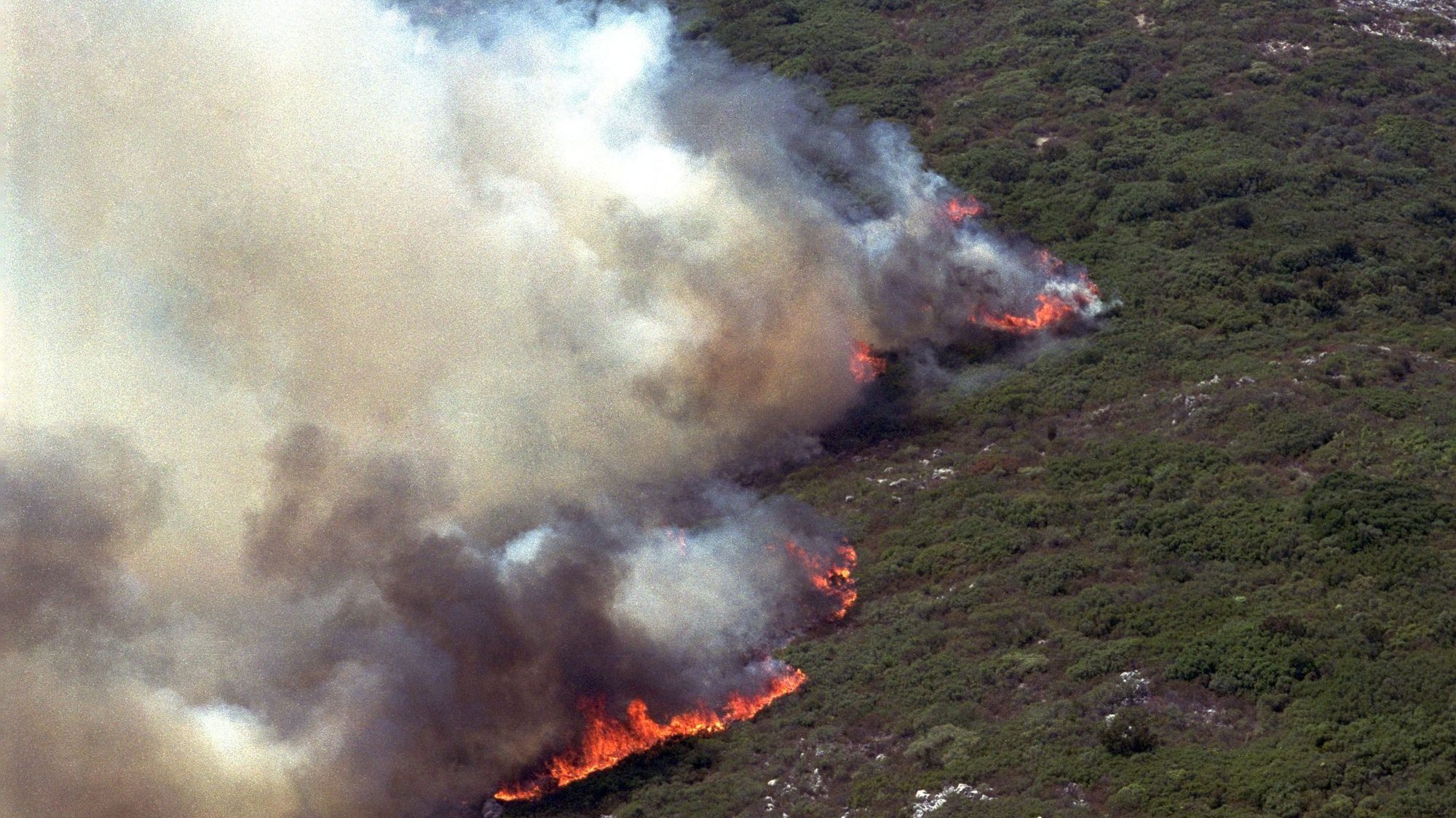No combate às chamas estiveram envolvidos mais de 500 operacionais e meios aéreos, tendo o fogo sido considerado extinto às 22h00 de 15 de julho
