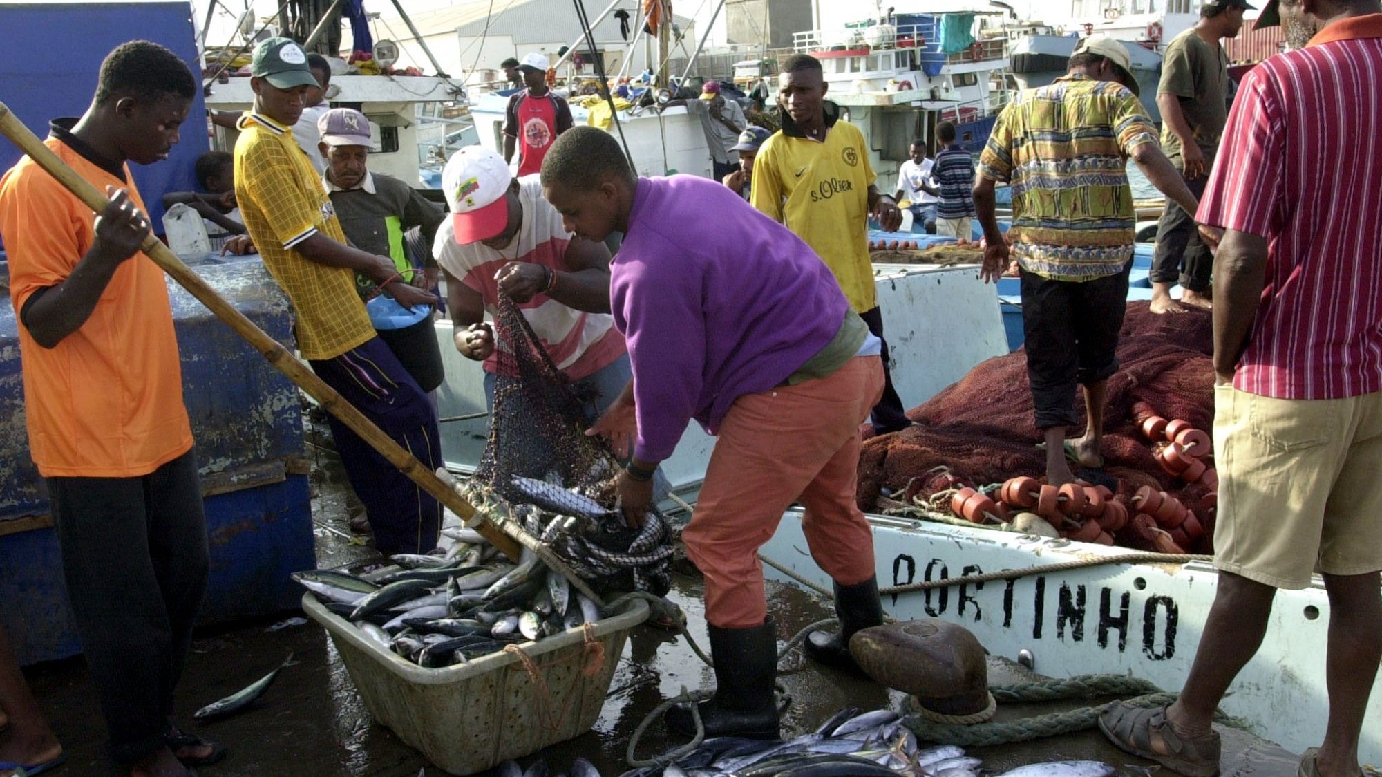 Desde 2011, os recursos humanos no setor das pescas aumentaram em mais de 1.500 trabalhadores