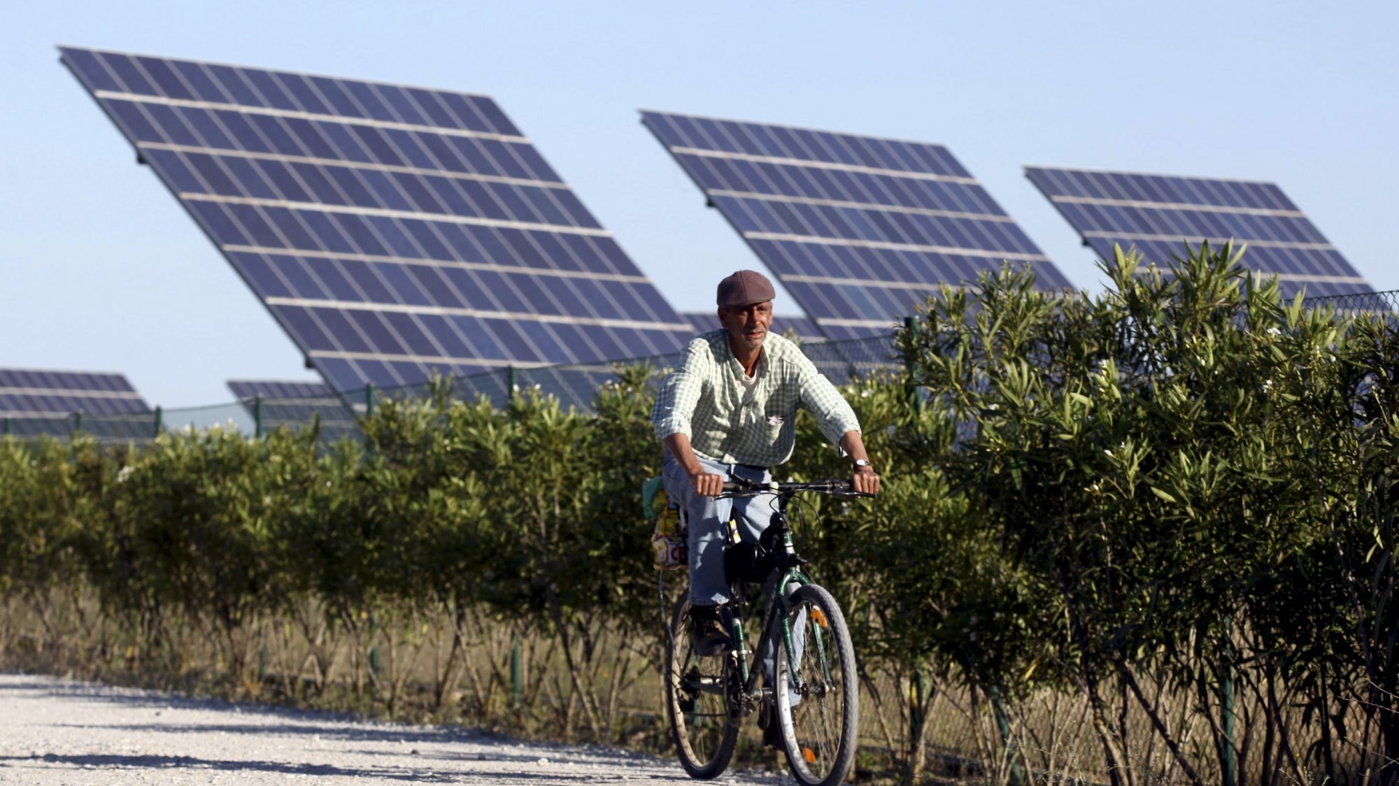O projeto da nova central solar é promovido por duas empresas, a IncognitWorld Unipessoal e a Qsun Portugal 4 Unipessoal, que pretendem investir 156,4 milhões de euros na construção desta central solar fotovoltaica