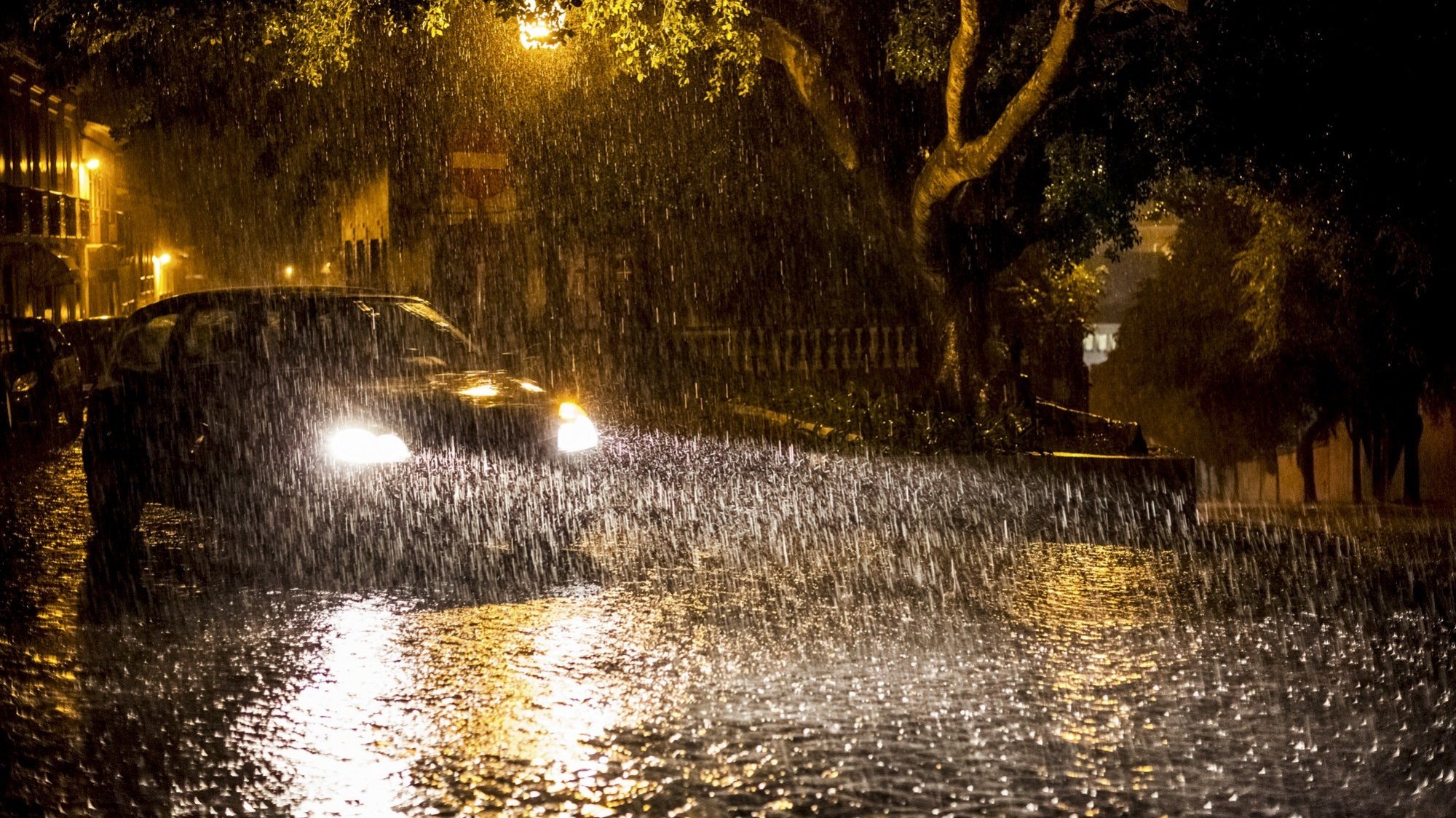 A fonte do CDOS de Portalegre indicou ainda que no distrito foram registadas 47 ocorrências relacionadas com o mau tempo