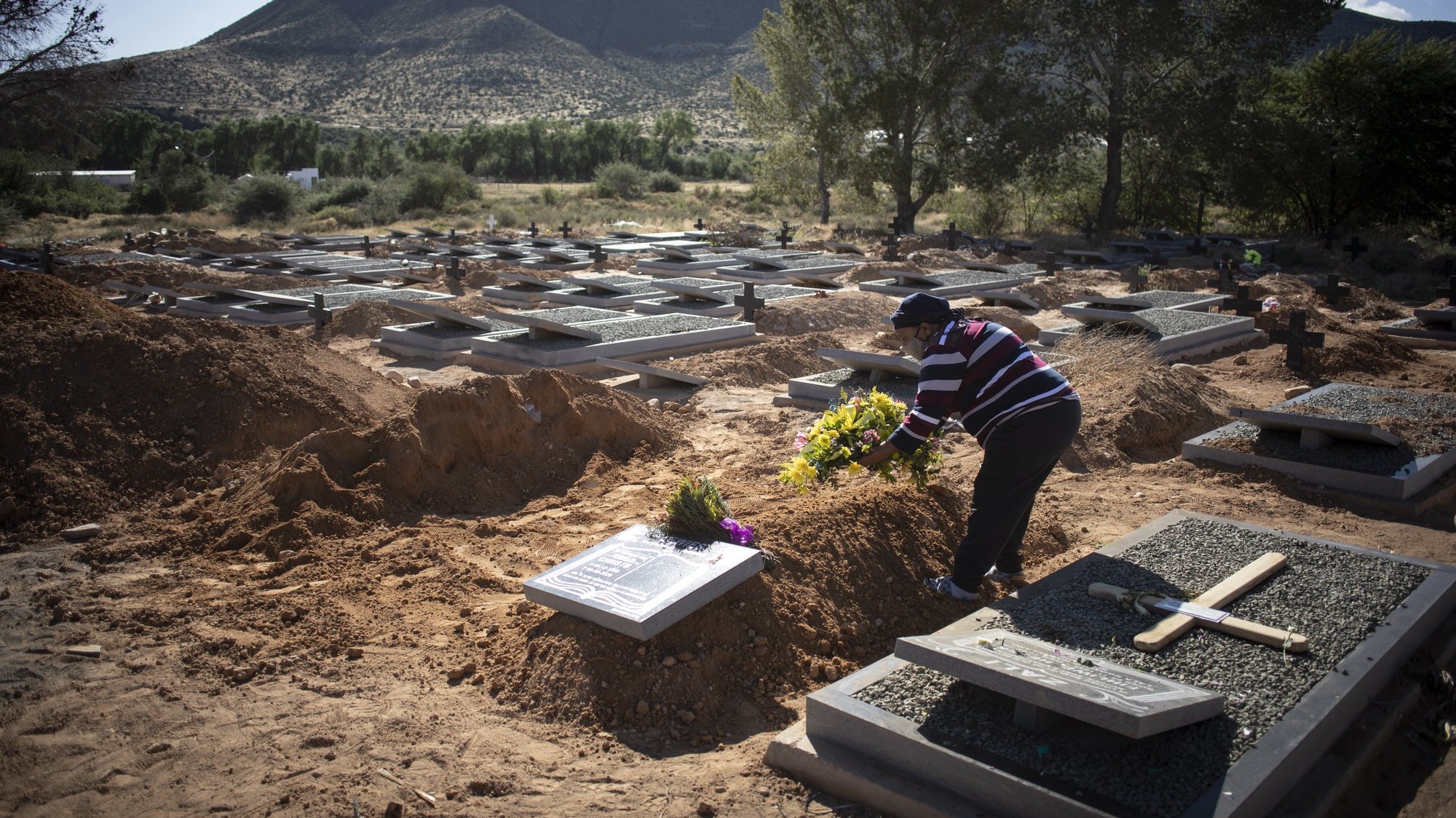 epa08493522 (28/28) A grieving friend lays flowers on the grave of recently deceased Covid-19 victim, Cristo Lewies,  Graaff Reinet, South Africa, 12 June 2020. Cristo was the second coronavirus victim to be buried in the graveyard as the rate of infection increases in the area. 
In the barren expanses of the Karoo (Great dry land) in the Eastern Cape province of South Africa, a perfect storm of circumstances has had a major and devastating effect on the local people. Three months of Covid-19 coronavirus lockdown, a harsh seven-year drought, and the ongoing impact of the general economic slowdown over the past years along with an ill-prepared local and provincial government have left the vast majority of the local people under financial, physical and spiritual pressure.  EPA/KIM LUDBROOK   ATTENTION: For the full PHOTO ESSAY text please see Advisory Notice  epa08493494
