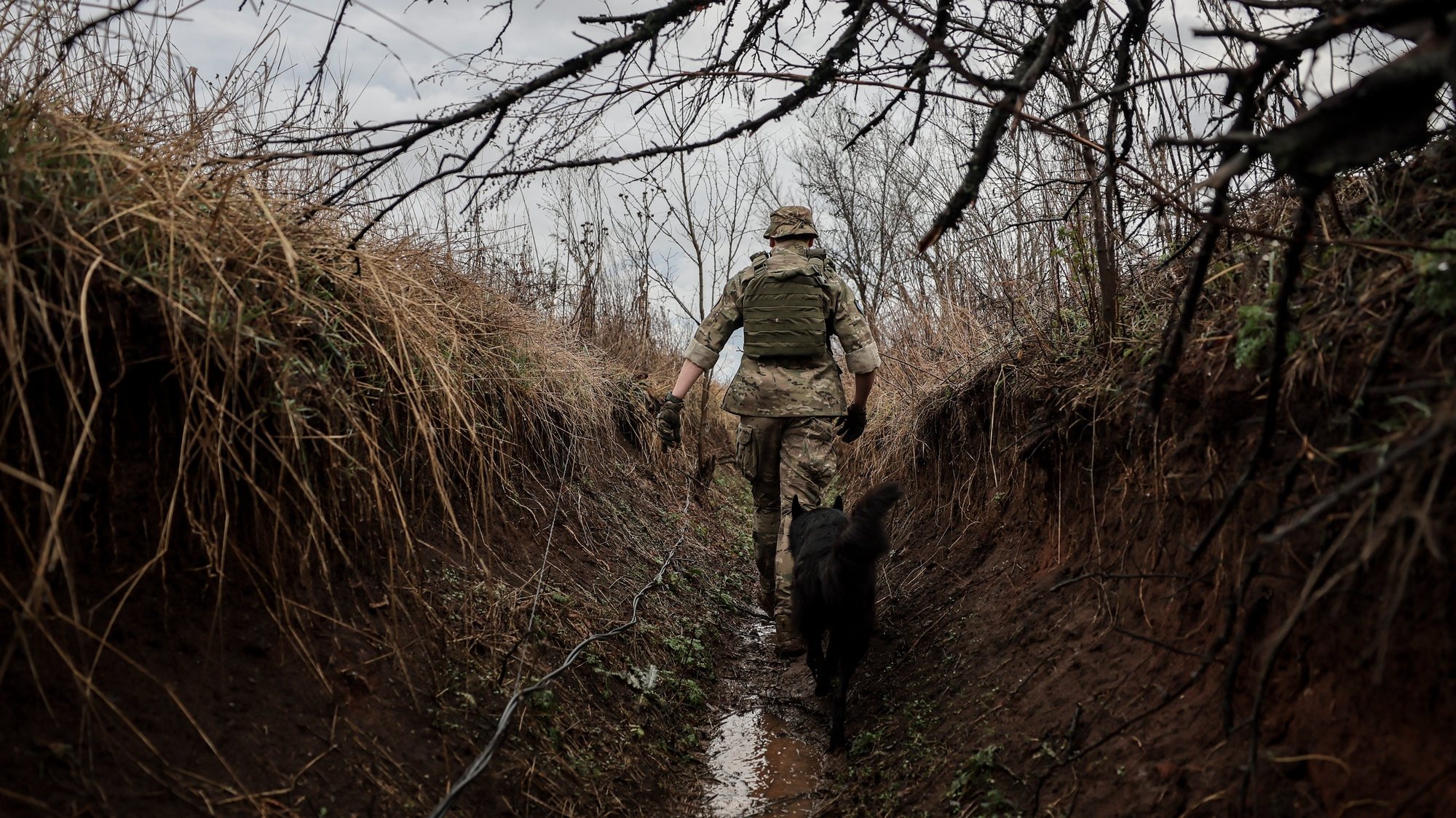 epa10960805 Call-sign Jimmy, commander of a unit of the 24-th Mechanized Brigade and Chorna(Black), a service dog moves through a trench in the Donetsk region, Ukraine, 06 November 2023. Commander Jimmy is an economist. Before the Russian invasion he was the CEO of a small company, which traded spare parts for cars. Jimmy decided to enlist to the army in March 2022, after his home town of Chernihiv came under attack. After several months in the army he got a short military education and became the commander of a company of soldiers. Russian troops entered Ukrainian territory in February 2022, starting a conflict that has provoked destruction and a humanitarian crisis.  EPA/Oleg Petrasyuk  ATTENTION: This Image is part of a PHOTO SET