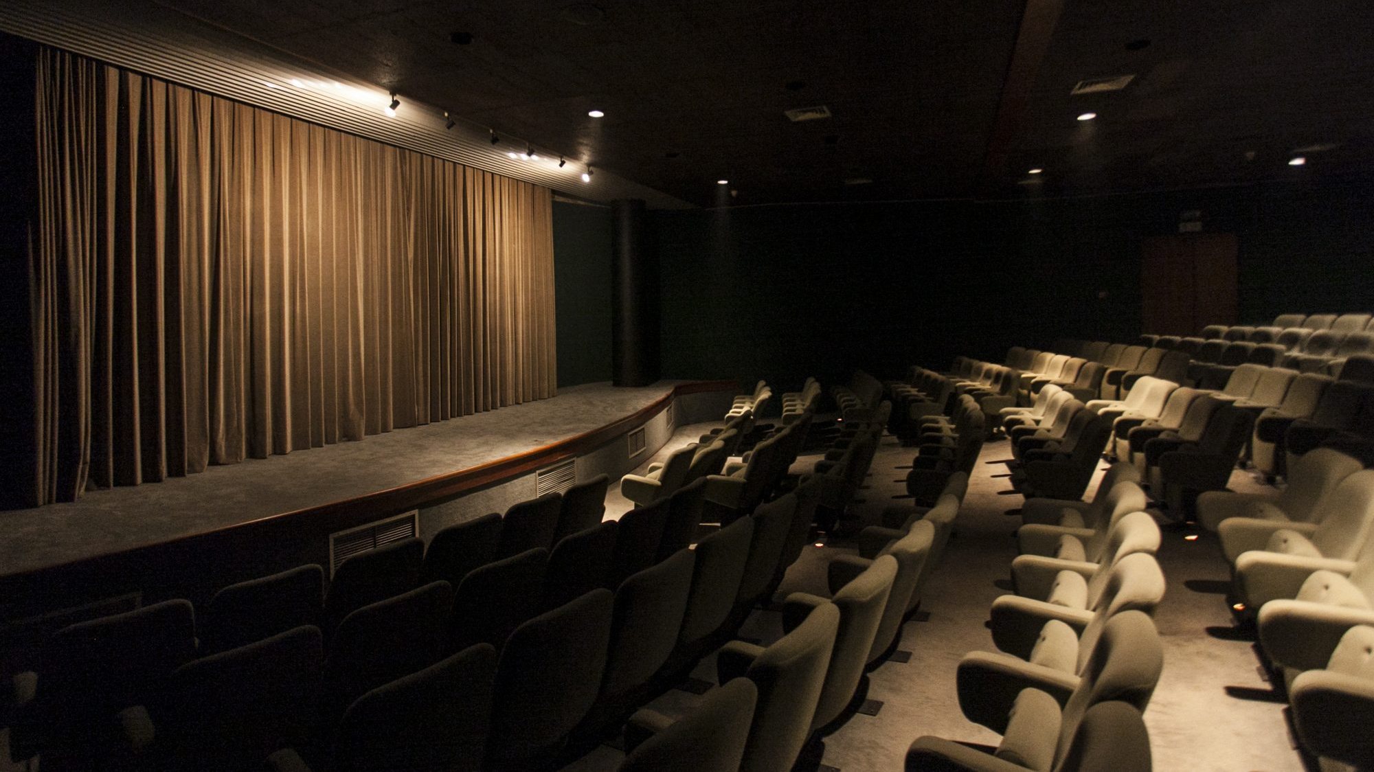 O Cinema Trindade, no Porto, será um dos palcos da iniciativa que levará ao público a obra completa da realizadora Regina Pessoa
