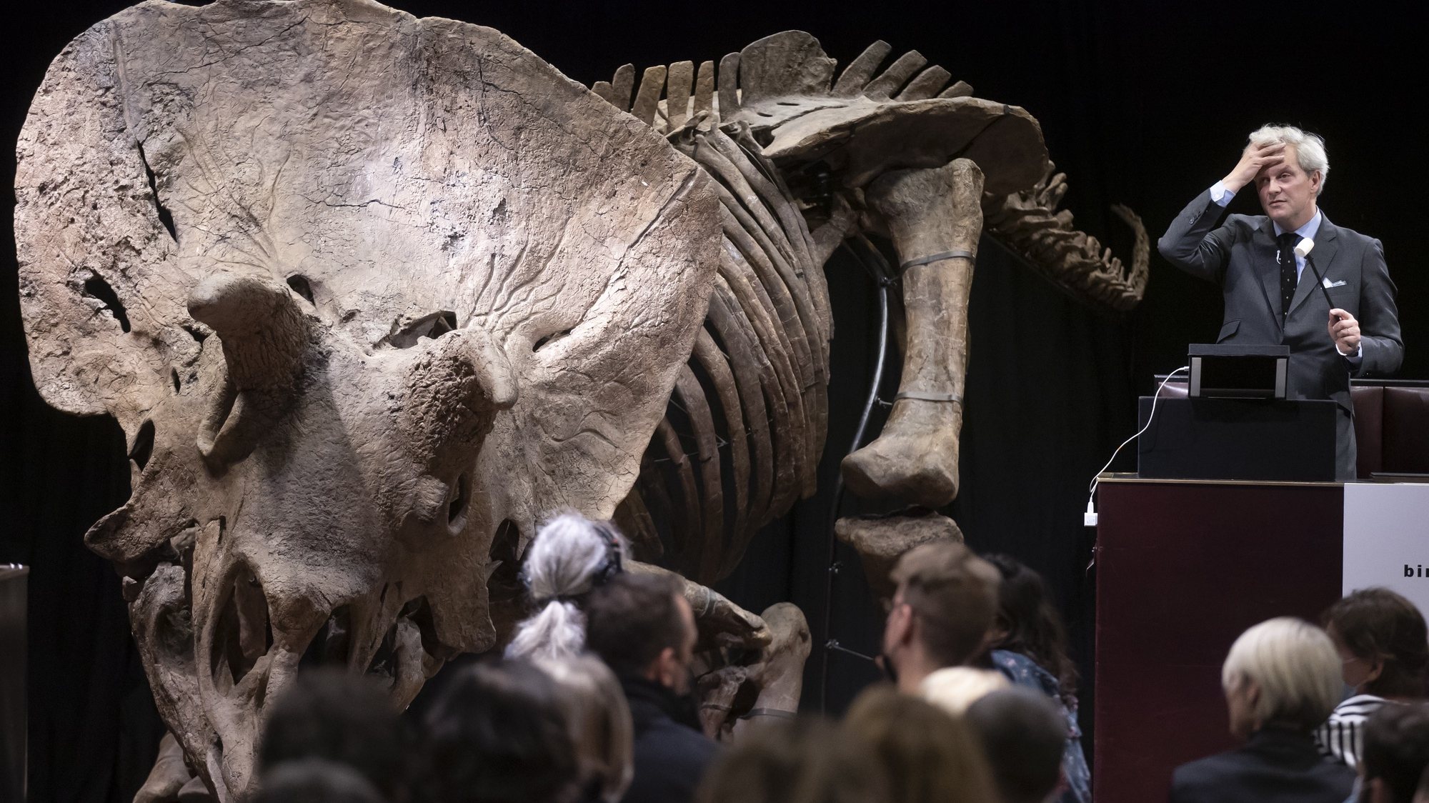Dinossauro &quot;Triceratops&quot; leiloado em Paris, por 5,5 milhões de euros