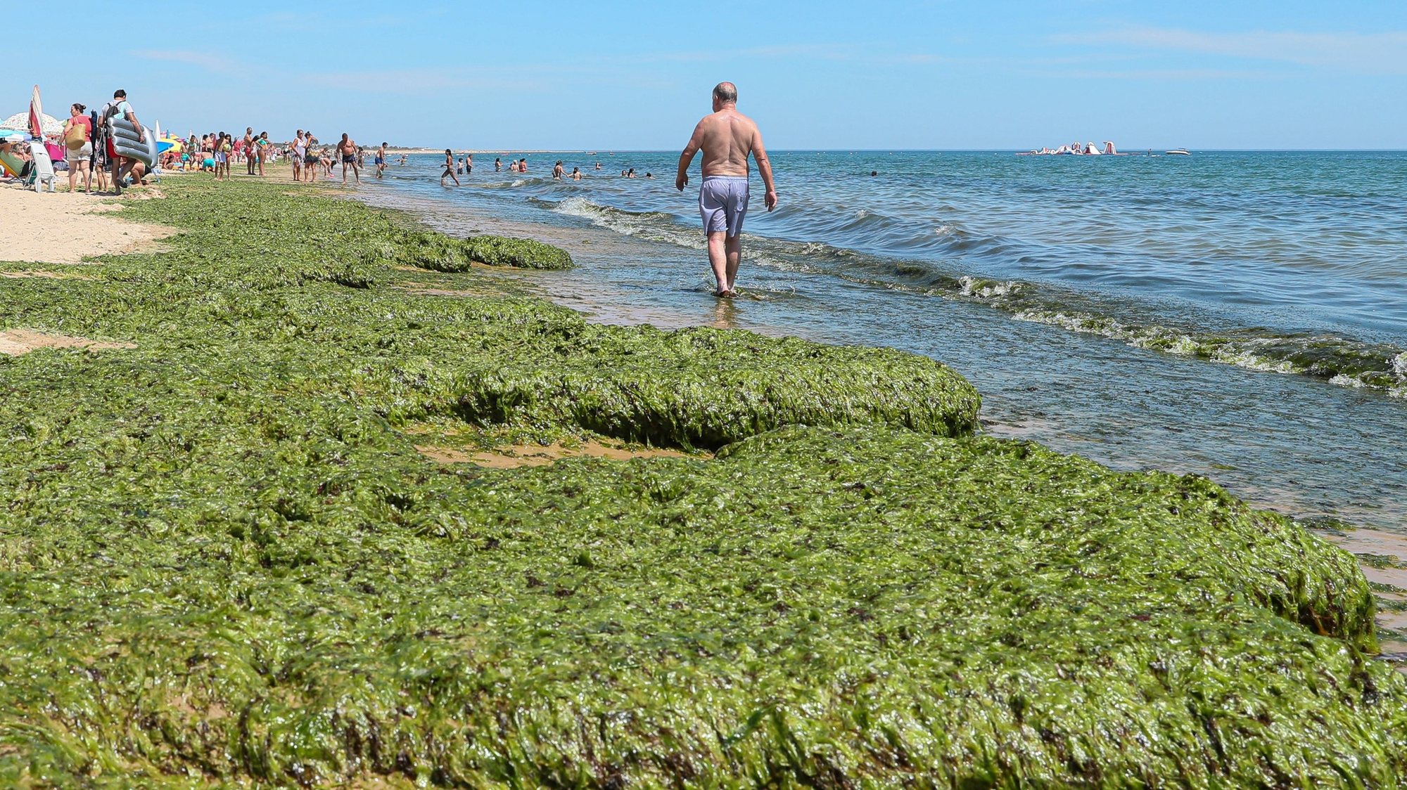 Uma grande quantidade de algas deu à costa na praia de Monte Gordo, em Vila Real de Santo António, 13 de agosto de 2019. LUÍS FORRA/LUSA