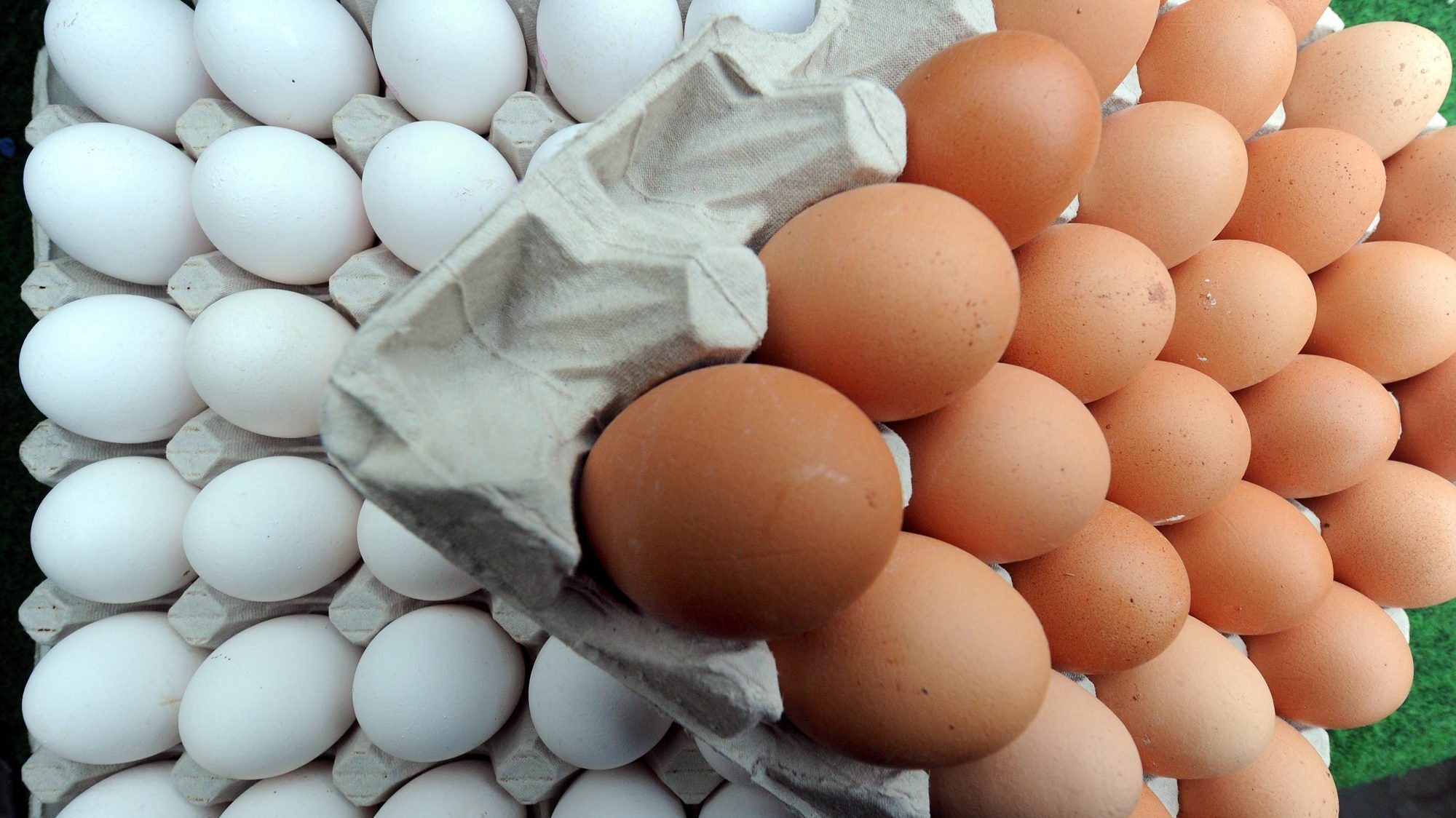 Devido a preocupações com a superprodução de ovos na Noruega, os agricultores acabaram por receber uma compensação para reduzir a produção, fator que, associado aos efeitos da gripe aviária, levou à escassez, segundo reportagens da imprensa local