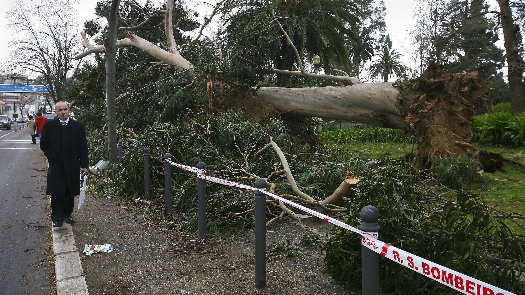 Algumas árvores caíram esta noite no Campo Grande devido aos ventos fortes que assolam a cidade de Lisboa, 05 de Março de 2009. MIGUEL A. LOPES/LUSA