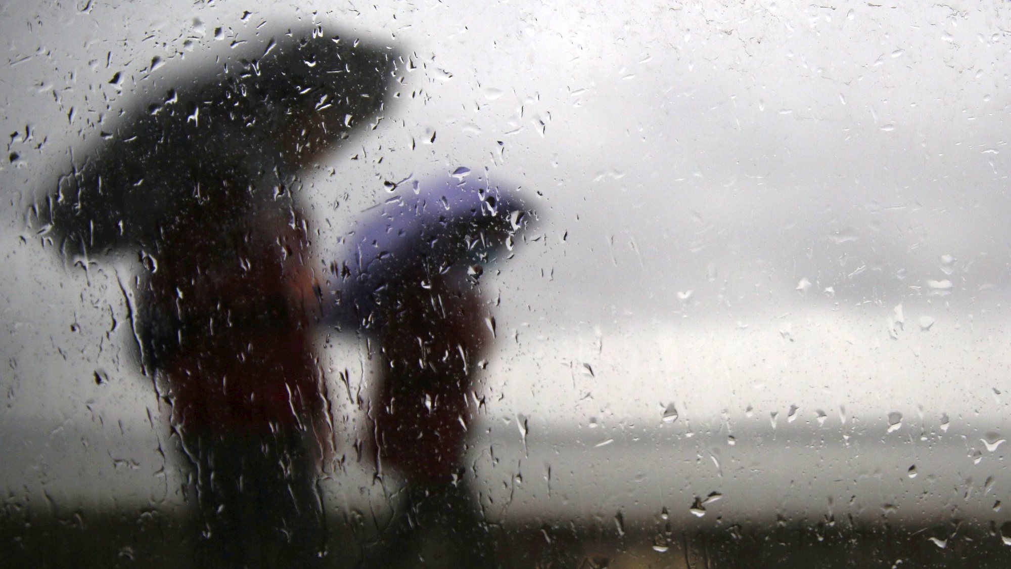 epa09067600 Kashmiri boys hold umbrellas seen through a car window during rain in Srinagar, the summer capital of Indian Kashmir, 11 March 2021. Rains lash plains and higher reaches received light snowfall in Indian Kashmir.  EPA/FAROOQ KHAN