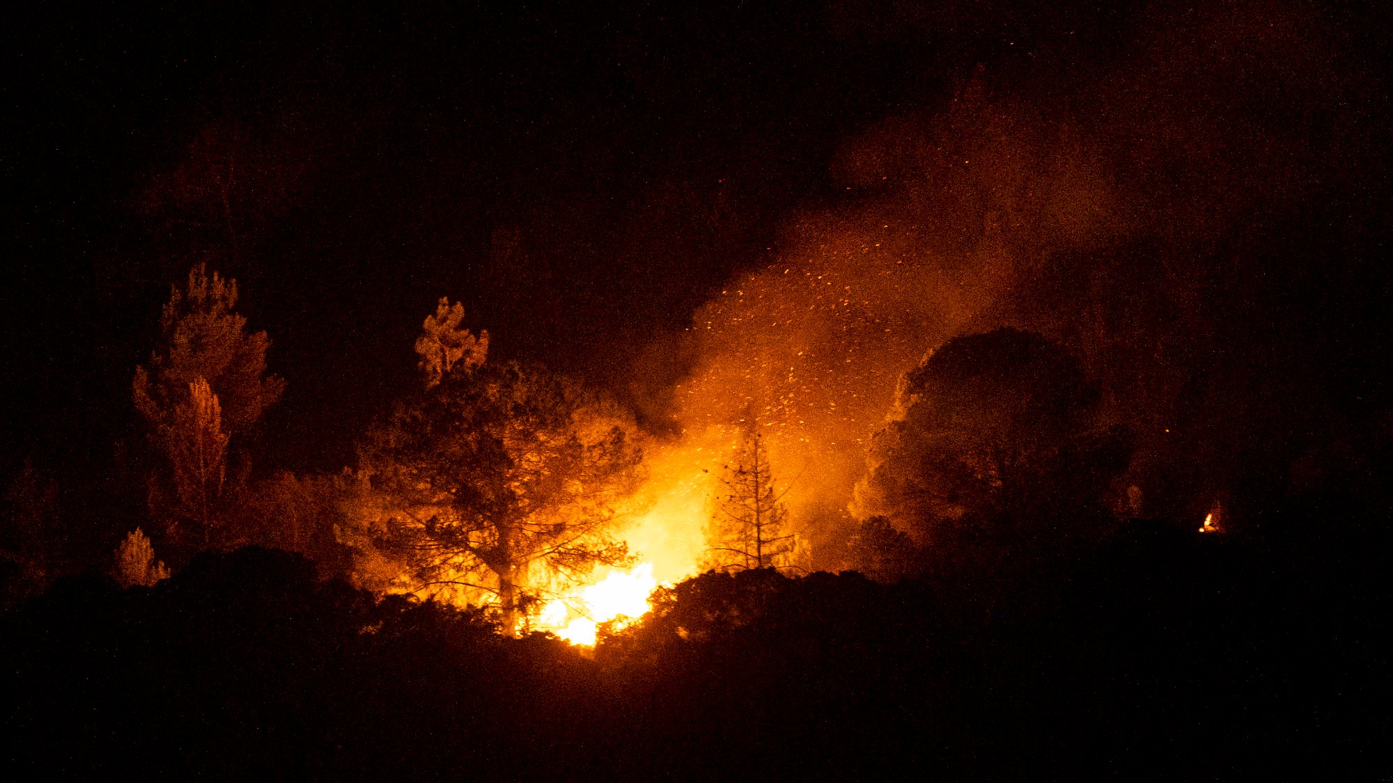 Segundo o site da Autoridade Nacional de Emergência e Proteção Civil, o fogo de Vila Pouca de Aguiar mobilizava, pelas 22h30, 446 operacionais e 144 viaturas
