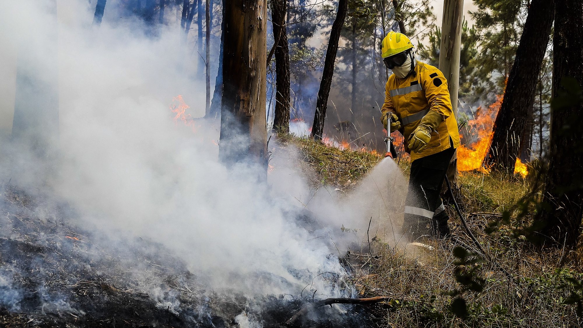 Um sapador florestal combate as chamas junto à aldeia de Rebolo, durante o incêndio que começou em Abiul, Pombal, na passada sexta-feira, Rebolo, Ansião, 14 de julho de 2022. PAULO NOVAIS/LUSA