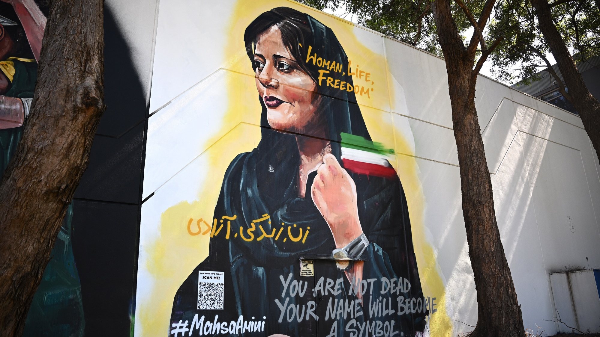 epa10270468 A mural of Mahsa Amini by artist Scott Marsh is seen in Alexandria, Sydney, Australia, 28 October 2022. Amini, a 22-year-old Iranian woman, was arrested in Tehran on 13 September by the police unit responsible for enforcing Iran&#039;s strict dress code for women. She fell into a coma while in police custody and was declared dead on 16 September.  EPA/DAN HIMBRECHTS AUSTRALIA AND NEW ZEALAND OUT