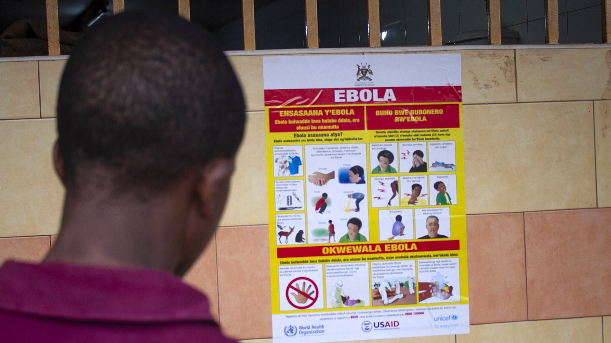epa10212386 A man looks at an Ebola virus disease awareness campaign poster following an outbreak of Ebola in Uganda, in Kampala, Uganda, 28 September 2022. According to Uganda&#039;s Health Ministry, Ebola infections have risen across some districts in Uganda with the number of confirmed and suspected deaths at 36. The president addressed the nation on measures the government is putting in place to mitigate the spread.  EPA/Stringer