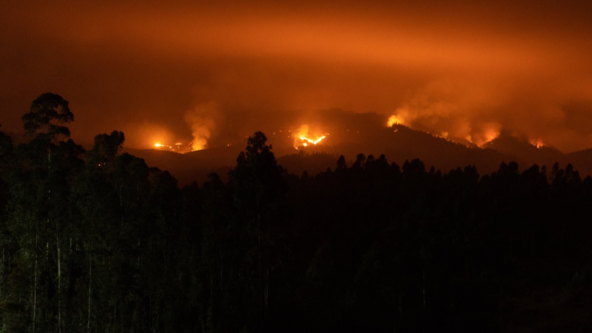 epa10448873 A forest fire burns in Alto de Menque, Biobio Region, Chile, 05 February 2023. Ongoing forest fires in Chile have destroyed more than 45,000 hectares of land since December 2022, mainly in the regions of Nuble, Biobio and La Araucania, areas of intense agricultural and forestry activity located between 400 and 700 kilometers south of the capital Santiago.  EPA/ESTEBAN PAREDES DRAKE