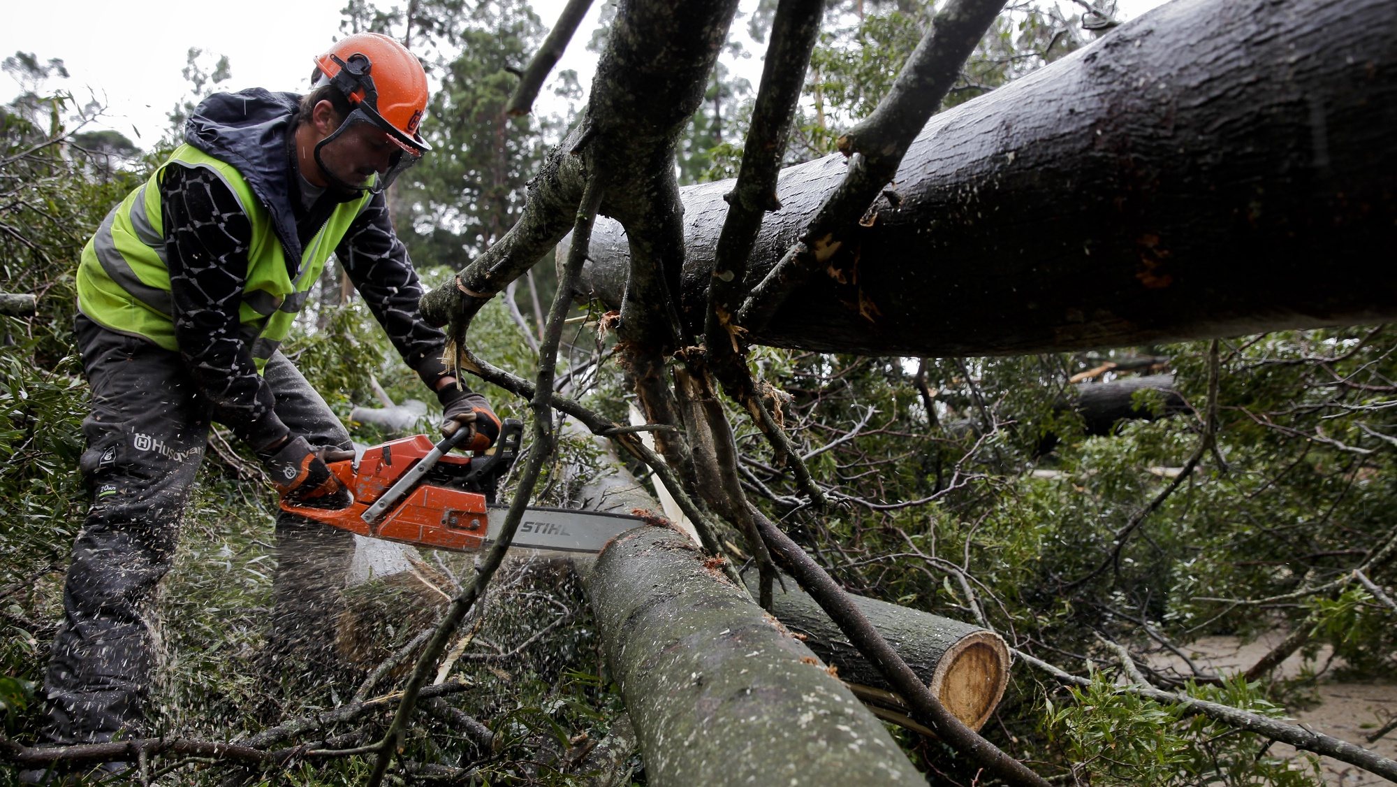 Um funcionário da Câmara de Sintra remove um tronco de uma árvore derrubada pelo vento durante o fim-de-semana, causando prejuízos em todo o património cultural e natural que constitui a Serra de Sintra, 21 de janeiro de 2013. ANDRÉ KOSTERS/ LUSA