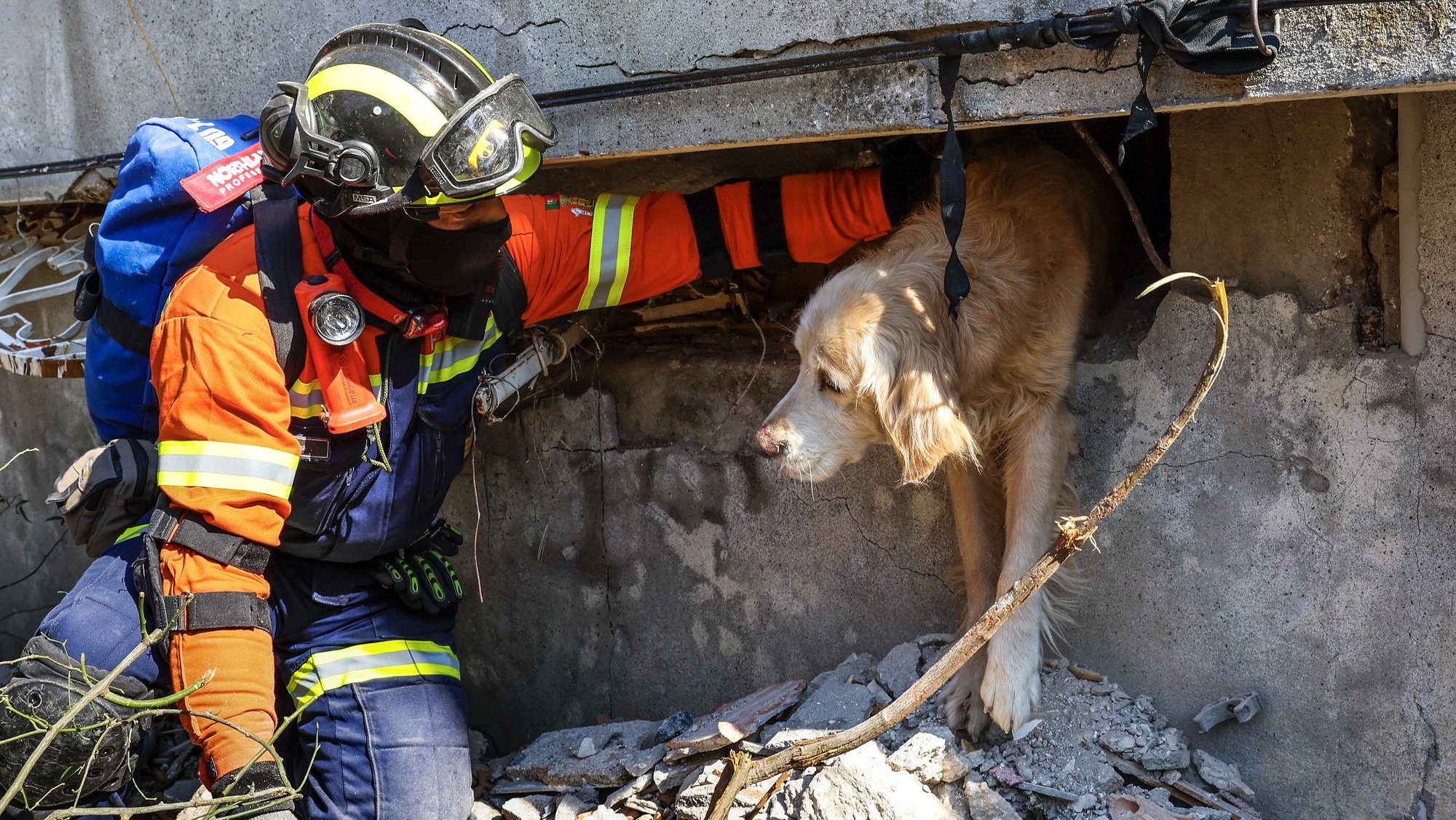 Portuguese rescue team members trying to free the dog named Tarcin ( Cinnamon) in a building that collapsed during the earthquake in Antakya capital of Hatay Province, the southernmost province of Turkey after the powerful earthquake, 14 February 2023. A team from Portugal of 53 Civil Protection, GNR, and emergency medical personnel left 08 February, for Turkey to support search and rescue efforts after 06 February earthquake, which has already killed more than 24,000 people in Turkey and Syria.  JOAO RELVAS/LUSA