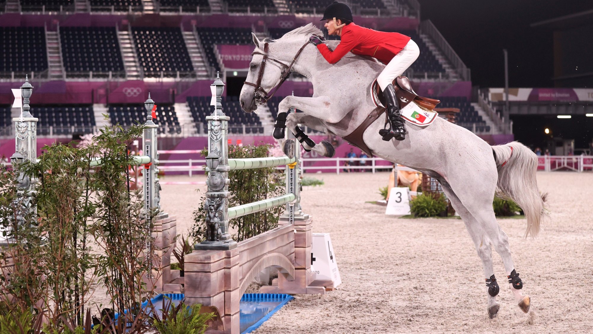 Luciana Dinis deixou rasgados elogios a Vertigo du Desert, cavalo que em 2019 não estava na linha para chegar aos Jogos
