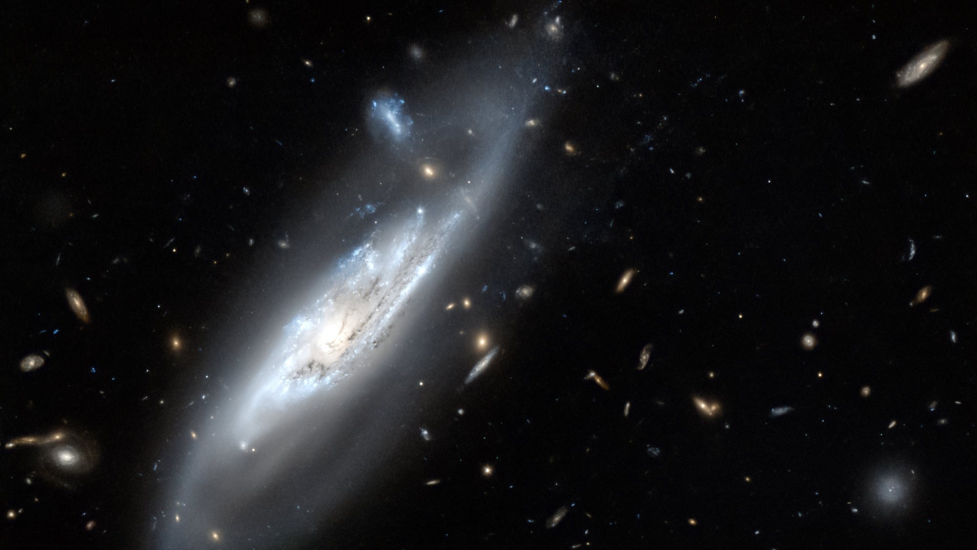 epa08556324 A handout photo made available by the European Space Agency (ESA) on 20 July 2020 shows an image taken with the NASA/ESA Hubble Space Telescope of the silvery-blue spiral arms of the galaxy NGC 4848 (issued 20 July 2020). A notable feature of most spiral galaxies is the multitude of arching spiral arms that seemingly spin out from the galaxy’s centre. Not only do we see the inner section of the spiral arms containing hundreds of thousands of young, bright, blue stars, but Hubble has also captured the extremely faint wispy tails of the outer spiral arms. This wispy barred spiral galaxy was first discovered in 1865 by the German astronomer Heinrich Louis d’Arrest. In his career, Heinrich also notably discovered the asteroid 76 Freia and many other galaxies and he also contributed to the discovery of Neptune. If you are situated in the Northern Hemisphere with a large telescope, you might just be able to observe the ghost-like appearance of this faint galaxy  within faint constellation of Coma Berenices (Berenice’s Hair).  EPA/ESA/Hubble &amp; NASA, M. Gregg / HANDOUT  HANDOUT EDITORIAL USE ONLY/NO SALES