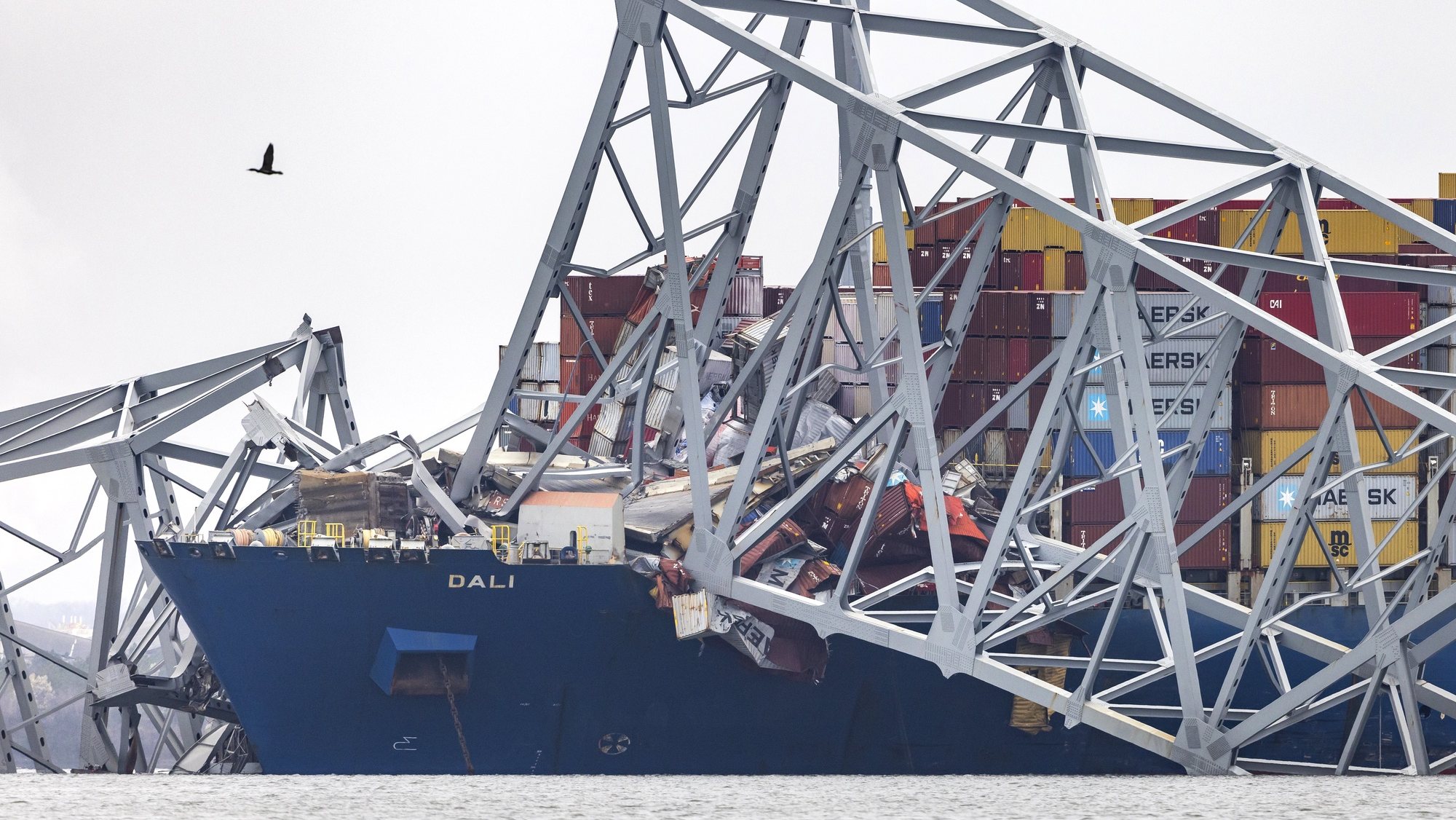 epa11246903 Wreckage from the Francis Scott Key Bridge remains on top of the 984-foot cargo ship Dali after the vessel lost power and collided with the 51-year-old bridge in Baltimore, Maryland, USA, 27 March 2024. The Francis Scott Key Bridge collapsed due to a ship strike on 26 March 2024. Two people were rescued, while at least six others, all members of a construction crew working on the bridge at the time of the incident according to authorities, were still missing. Divers are working to recover the bodies of the six missing construction workers, who are now presumed dead, the US Coast Guard said.  EPA/JIM LO SCALZO