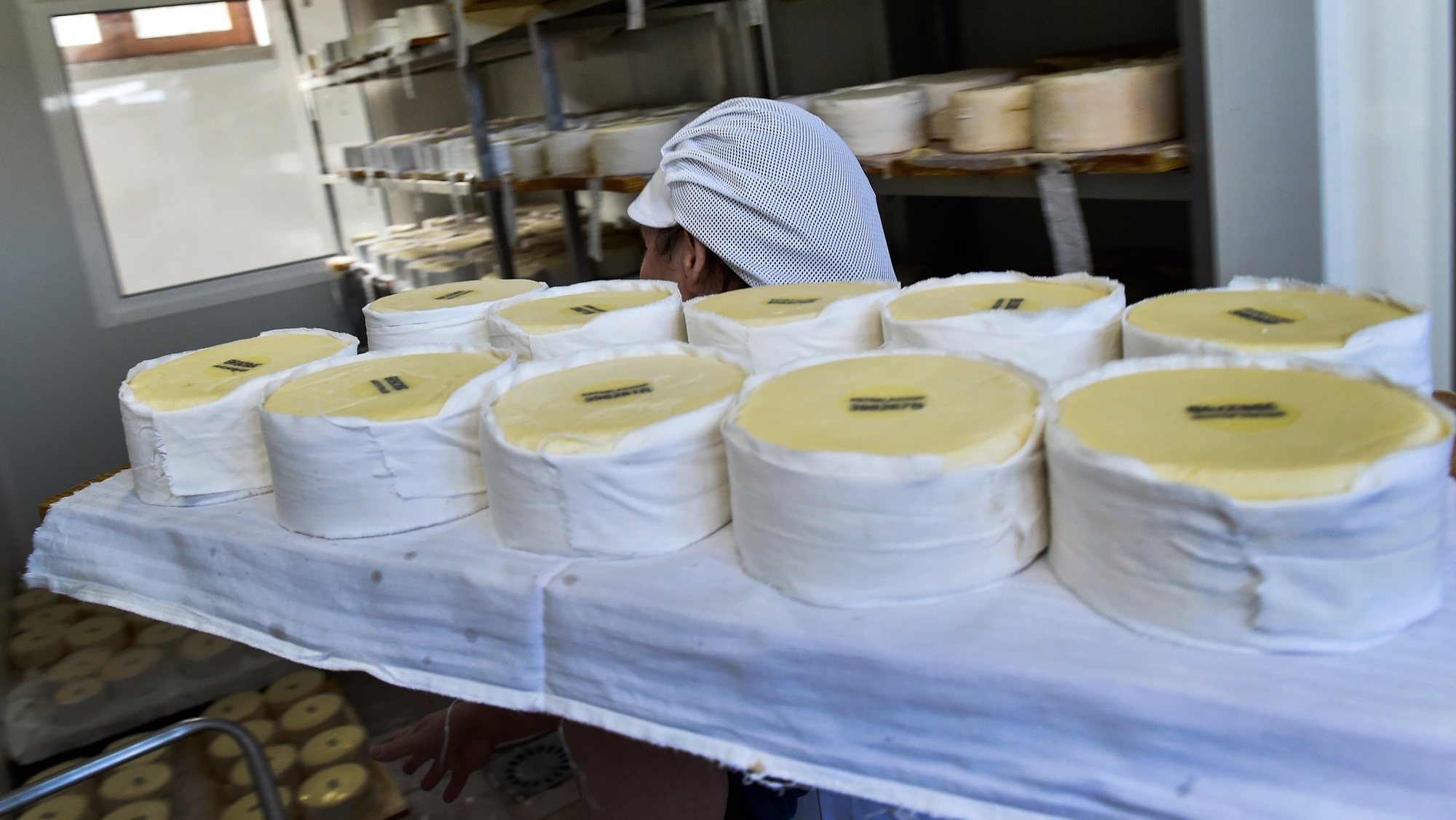 Queijos da Casa da Ínsua, em Penalva do Castelo, 08 de fevereiro de 2019. A Casa da Ínsua é uma das mais antigas da região na produção de queijo da Serra da Estrela. (ACOMPANHA TEXTO DO DIA 10 DE FEVEREIRO DE 2019). NUNO ANDRÉ FERREIRA/LUSA