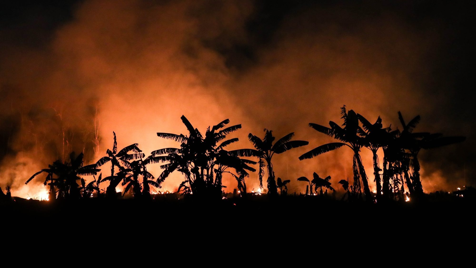 16% da área destruída este ano por incêndios na Amazónia ocorreram em áreas protegidas