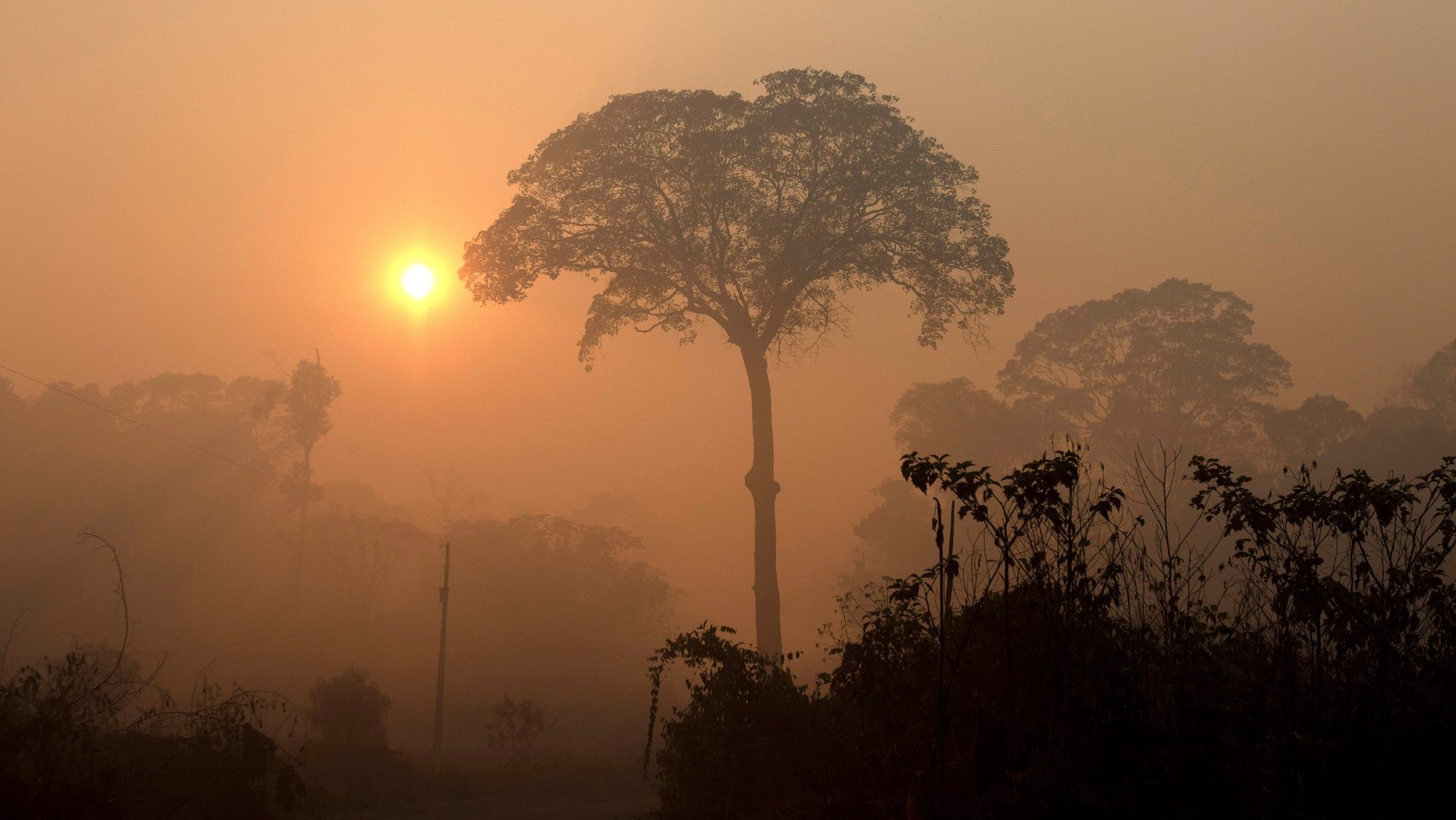 epa07802407 View of the smoke and dust left by the fires in the Amazon rainforest, near Porto Velho, Brazil, 29 August 2019. Brazilian Government, which is responsible for 70% of the 7 million square km of the Amazon region, issued on 29 August a decree that bans the use of fire for preparing sowing in the rainforest, hit recently by the worst fires registered in the last years. Furthermore, the Government informed that the fires have dropped down despite not providing data of the entire region.  EPA/Joedson Alves