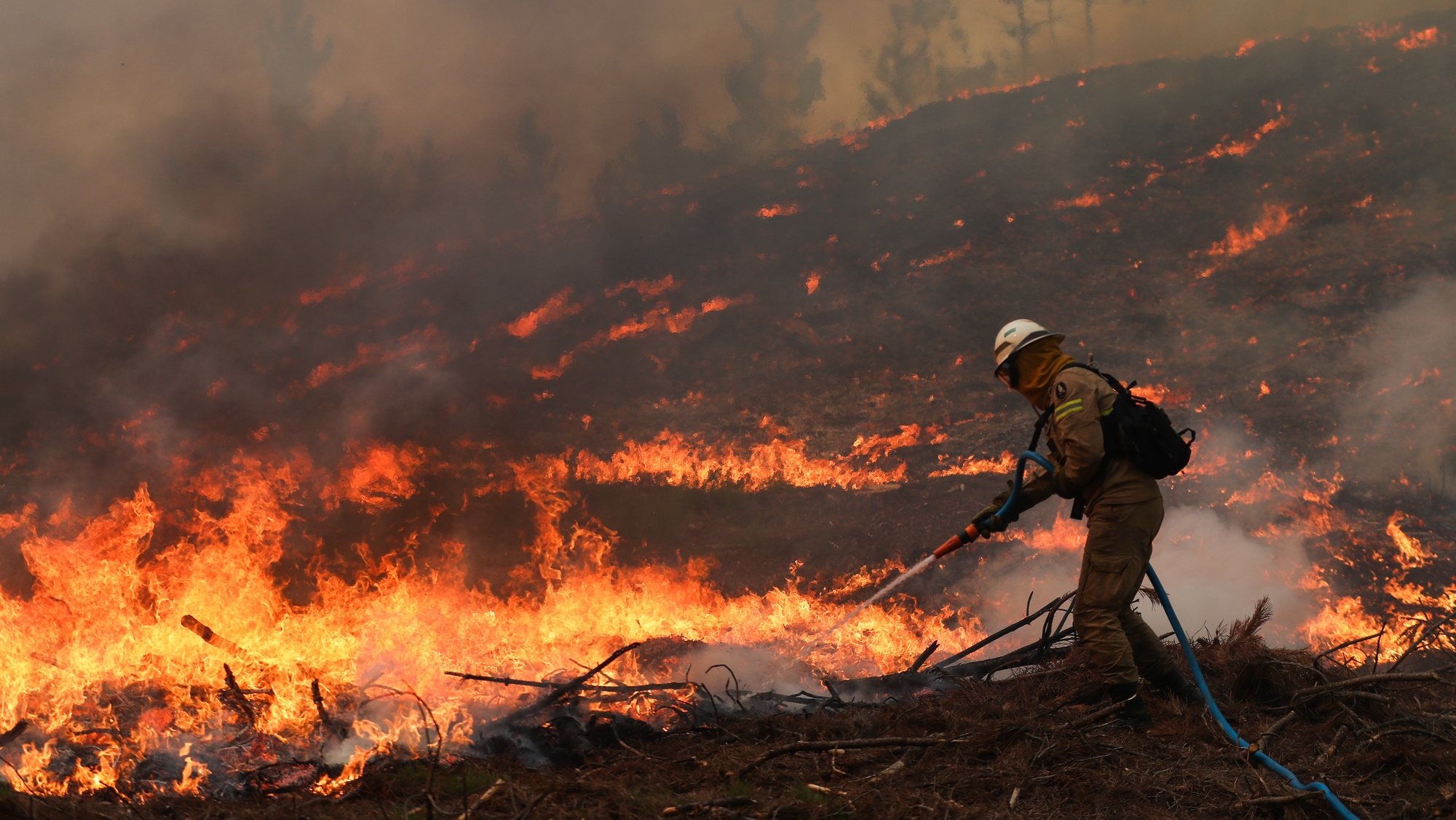 Um bombeiro combate um incêndio na localidade de Cardosos que provocou esta tarde o corte da A1 no concelho de Leiria, 7 de agosto de 2023. PAULO CUNHA/LUSA
