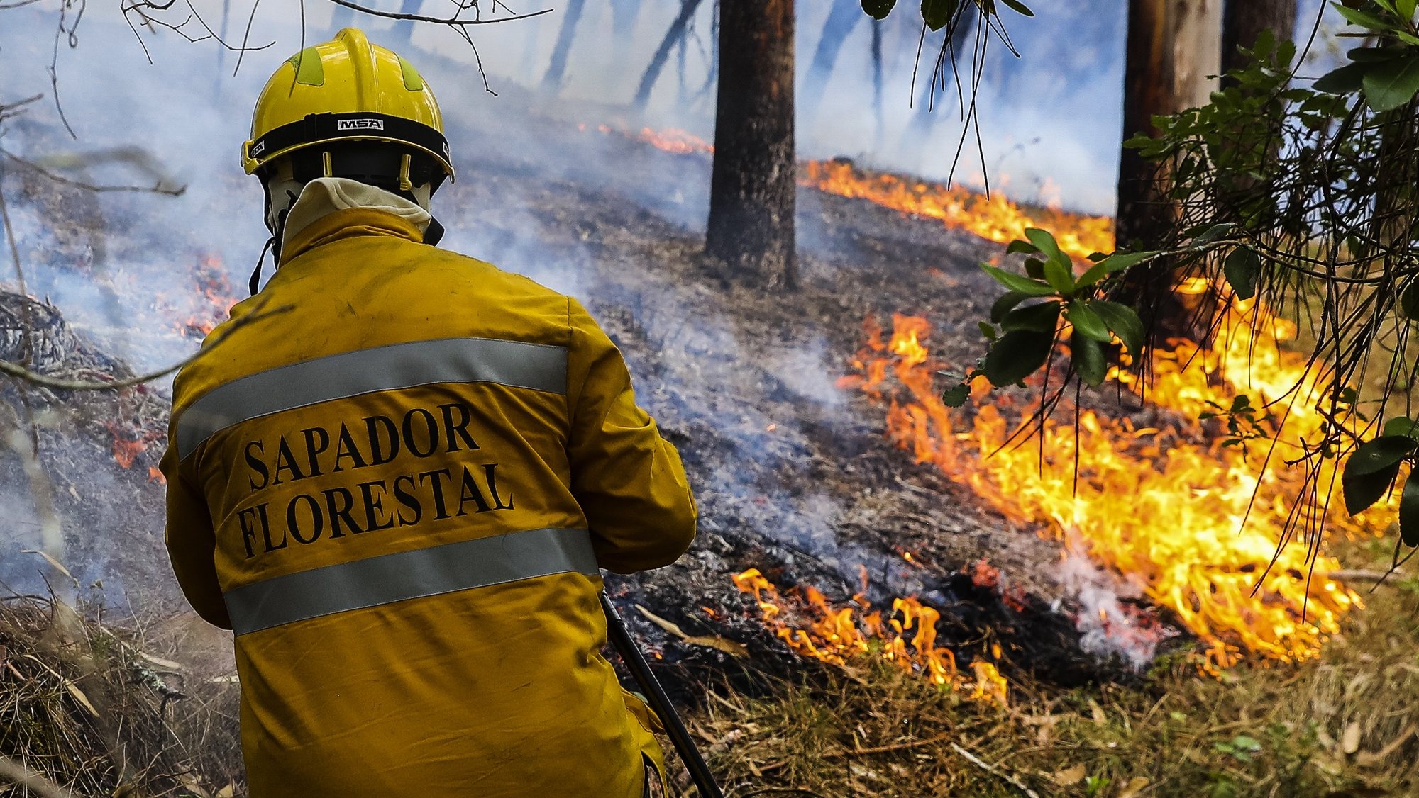 O fogo deixou marcas de destruição nos locais por onde passou durante o incêndio que começou em Abiul, Pombal, na passada sexta-feira, Cavadas da Macieira, Ansião, 14 de julho de 2022. PAULO NOVAIS/LUSA