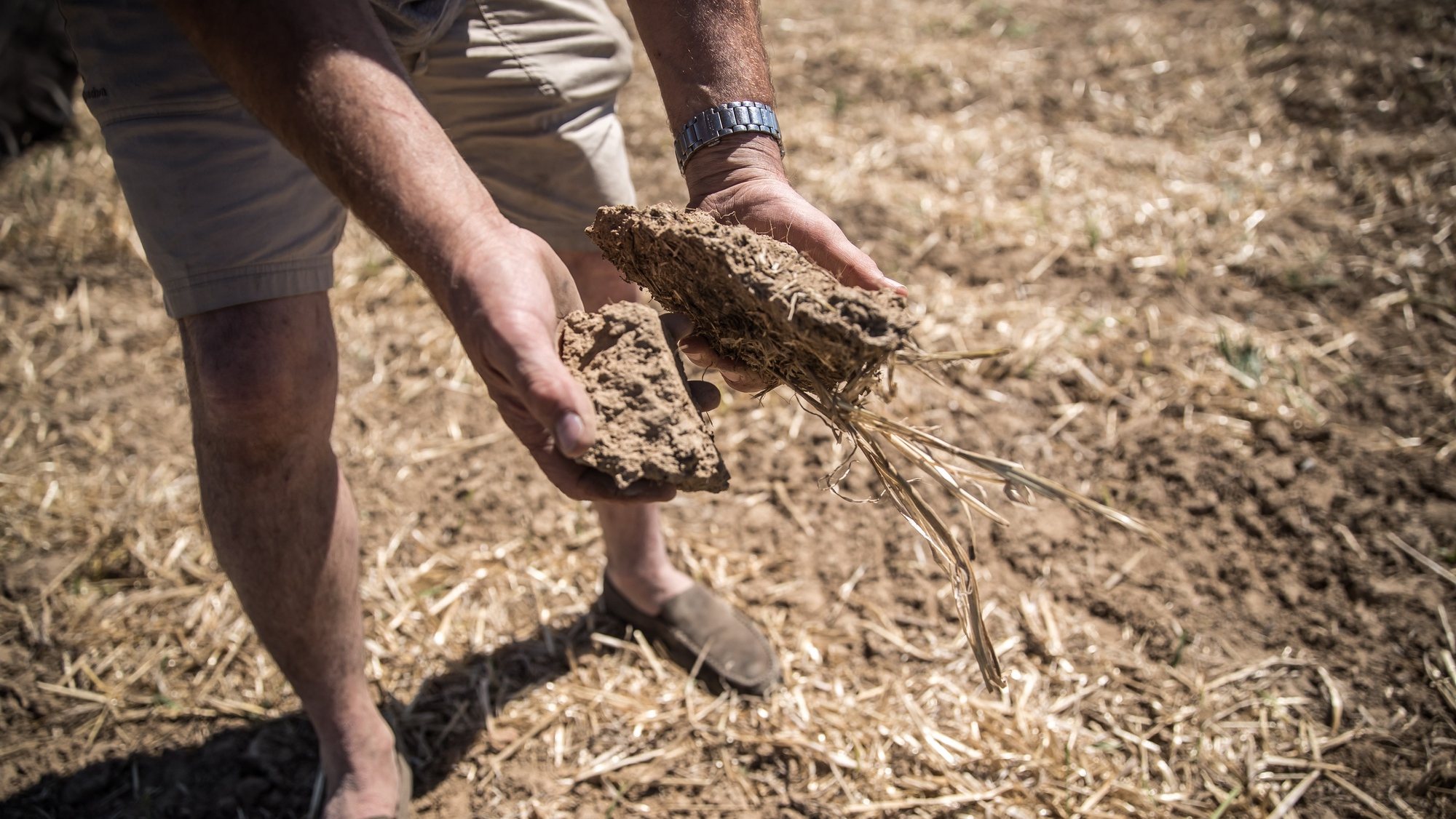 epa10111701 French farmer Benoit Roche inspects the dry soil of his field as he prepares to plant in Lissy, France, 08 August 2022. The department of Seine-Et-Marne, in the south-east of the Paris region, has been declared on drought alert by the authorities due to the lack of rain and several heat waves.  EPA/CHRISTOPHE PETIT TESSON