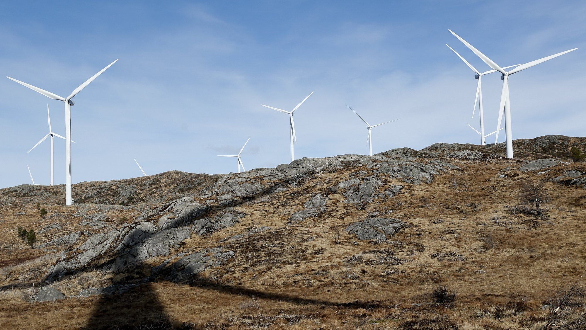 epa07478791 Wind turbines in Midtfjellet wind farm in Fitjar, Norway, 01 April 2019. The Norwegian Water Resources and Energy Directorate (NVE) submitted its proposal for a national framework for wind power on land. In the proposal, NVE points out 13 areas in Norway as the most suitable for developing wind power on land.  EPA/Jan Kare Ness  NORWAY OUT