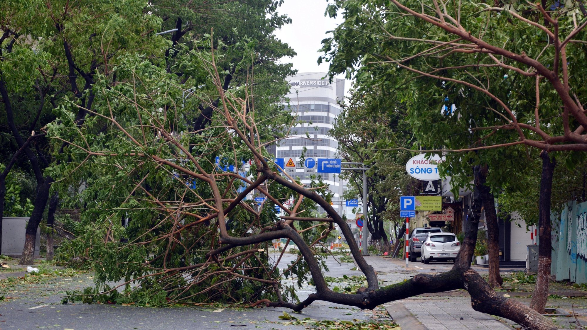 epa10210841 A handout photo made available by Vietnam News Agency shows a fallen tree blocking a street in Da Nang, Vietnam, 28 September 2022. Typhoon Noru has weakened to a tropical storm and made landfall in central Vietnam on 28 September.  EPA/VIETNAM NEWS AGENCY / HANDOUT VIETNAM OUT HANDOUT EDITORIAL USE ONLY/NO SALES