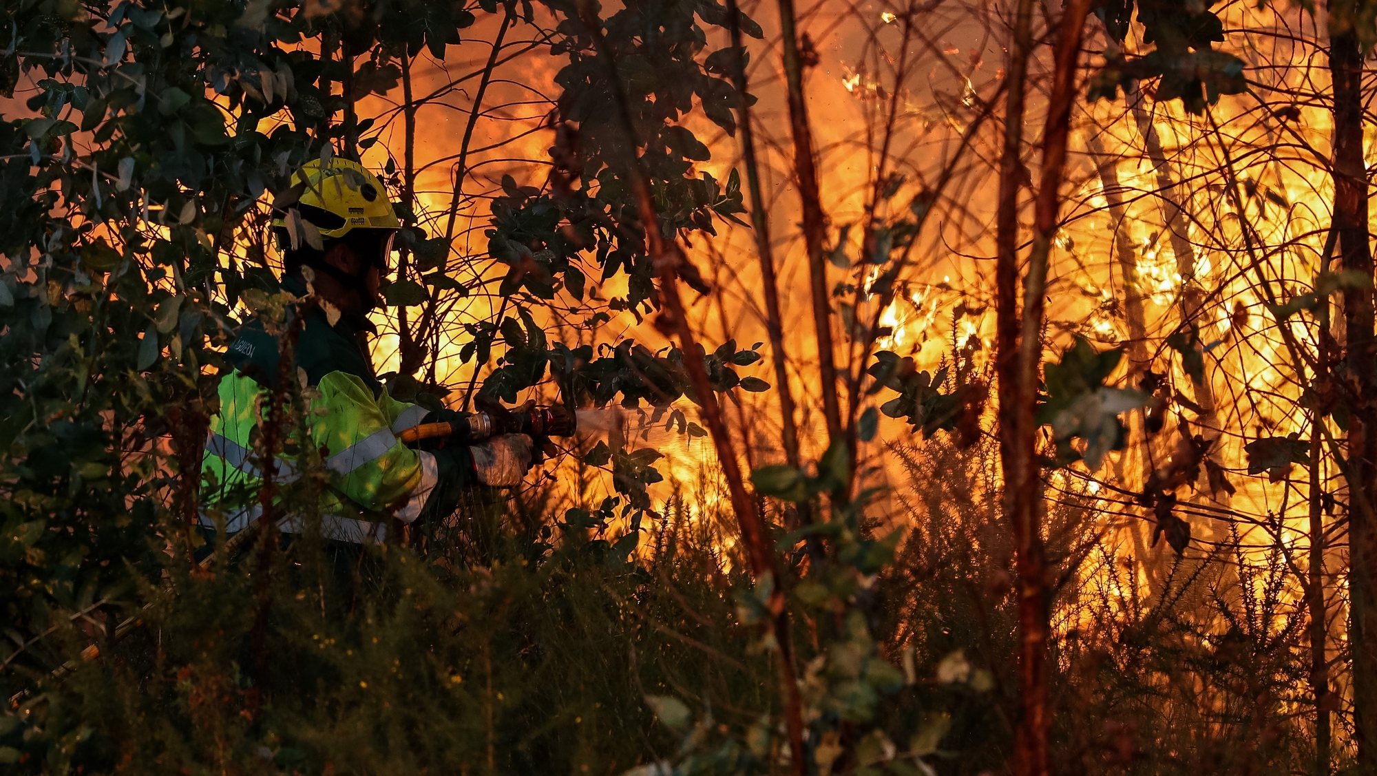Um bombeiro durante o combate ao incêndio florestal em Veiga, Águeda, 5 de setembro de 2019. No início da tarde combatiam as chamas em Águeda 52 operacionais com 15 viaturas, bem como cinco meios aéreos. PAULO NOVAIS/LUSA