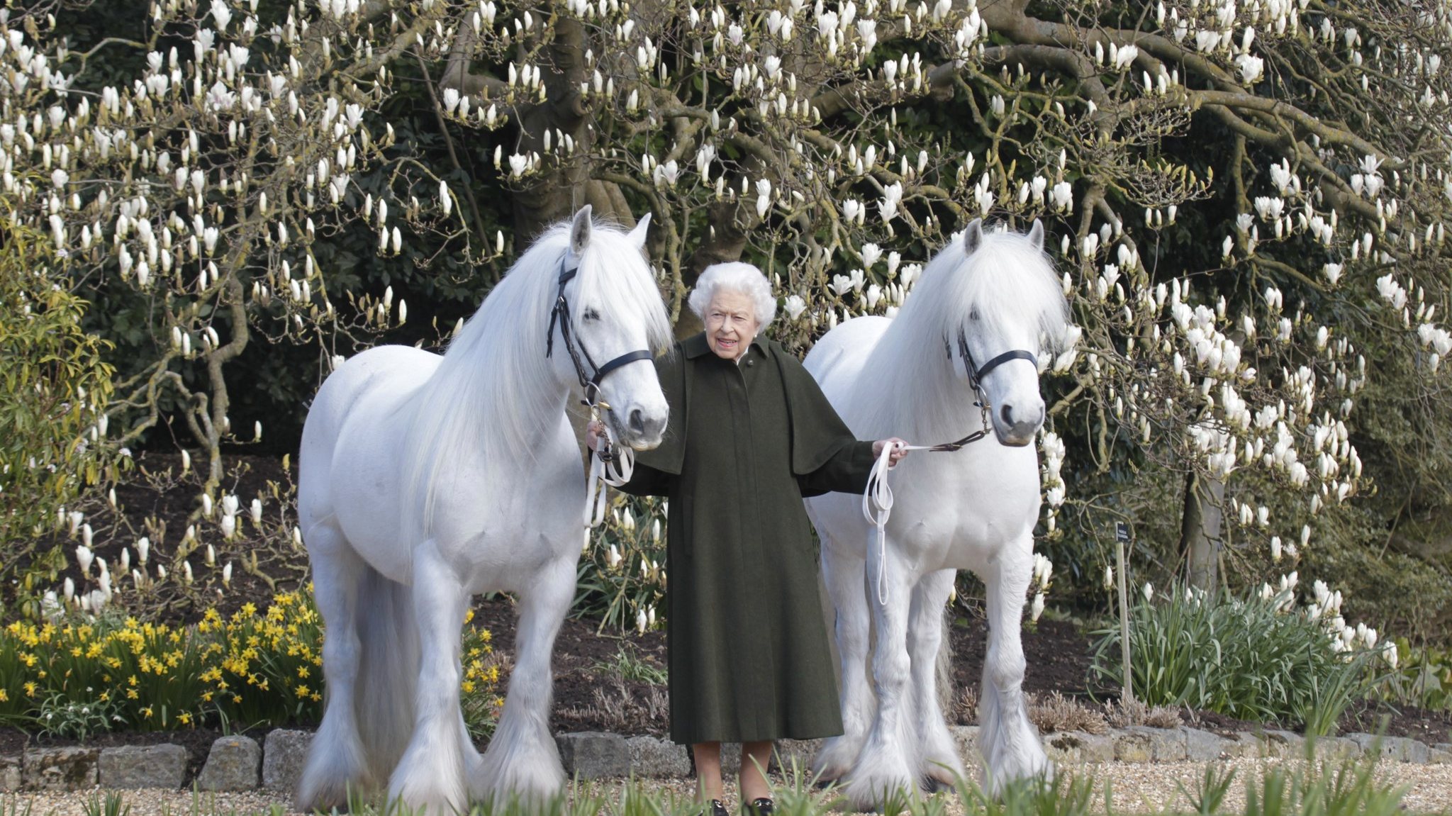 A Rainha Isabel II na fotografia oficial do 96.º aniversário