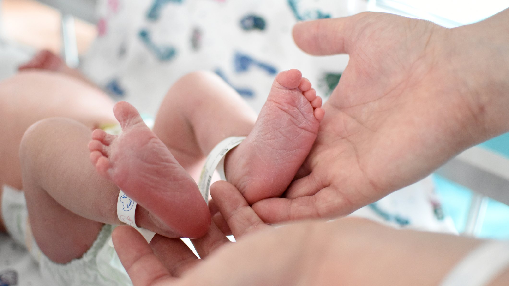 Nasceram 811 bebés, mais 123 do que em 2022, na maternidade de Abrantes