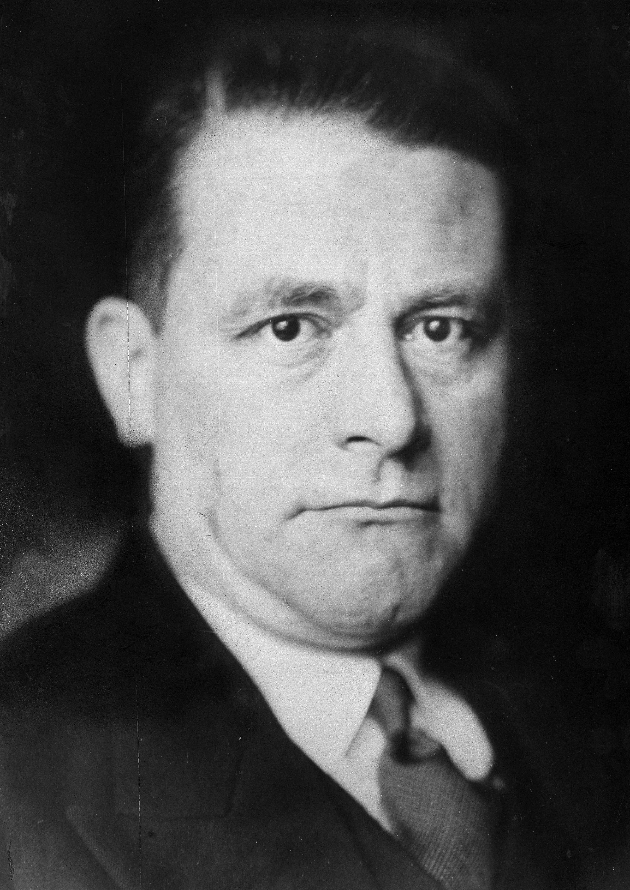 Carl Schmitt, Jurist, D - 1932