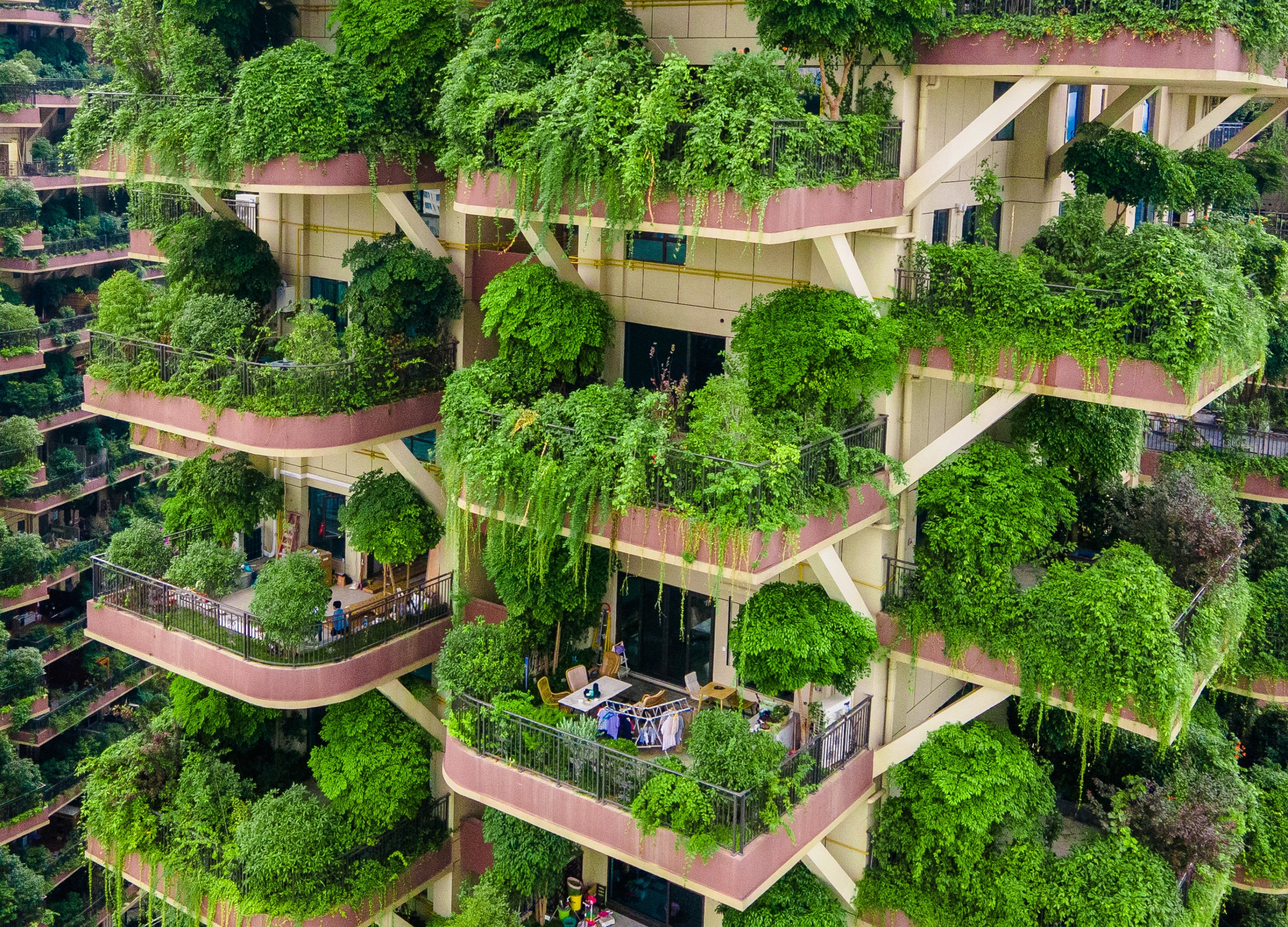 Plants overrun apartment blocks in Chengdu City