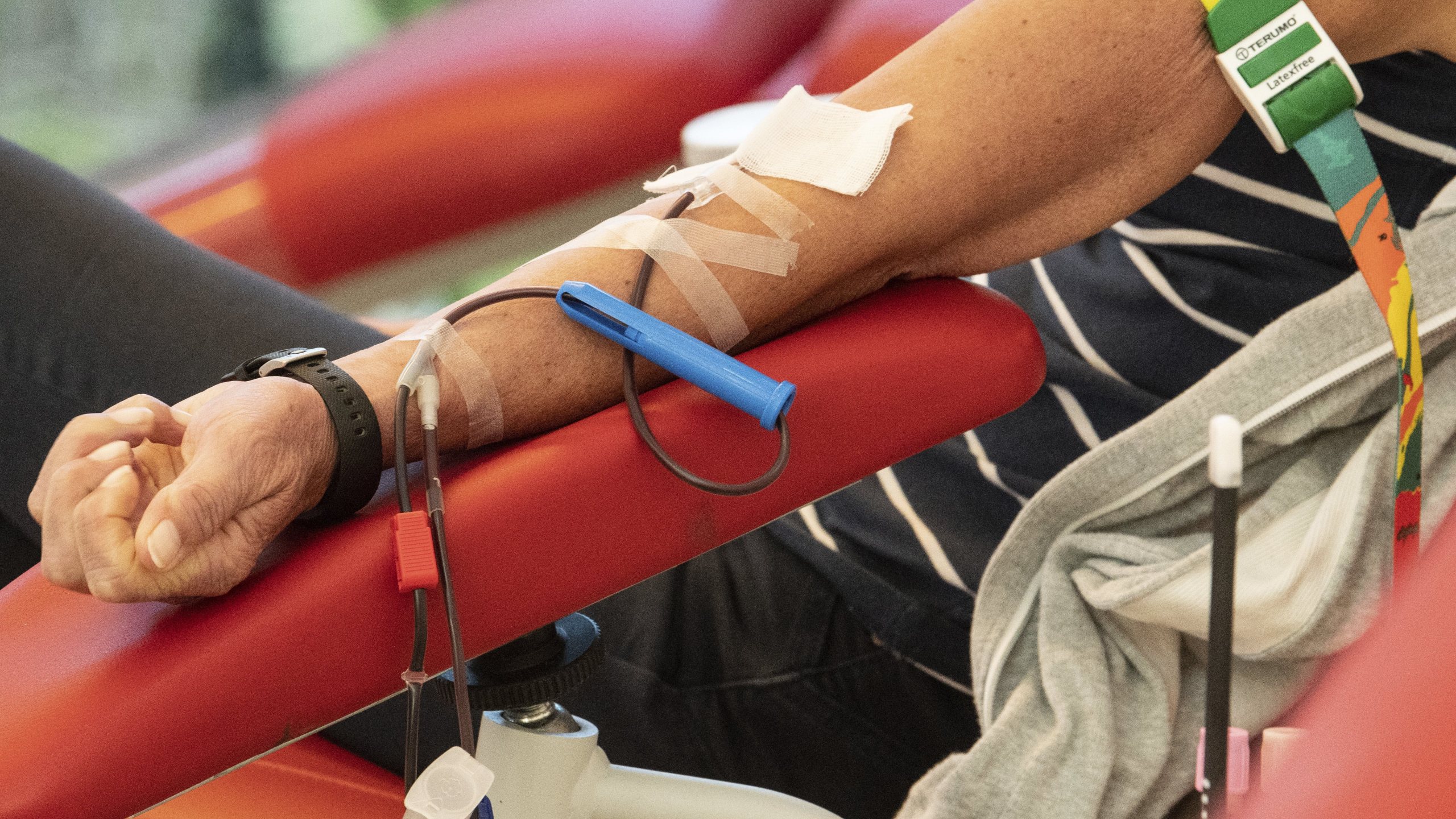 Corona in Belgium : Red Cross : Donors donate blood, plasma or platelets