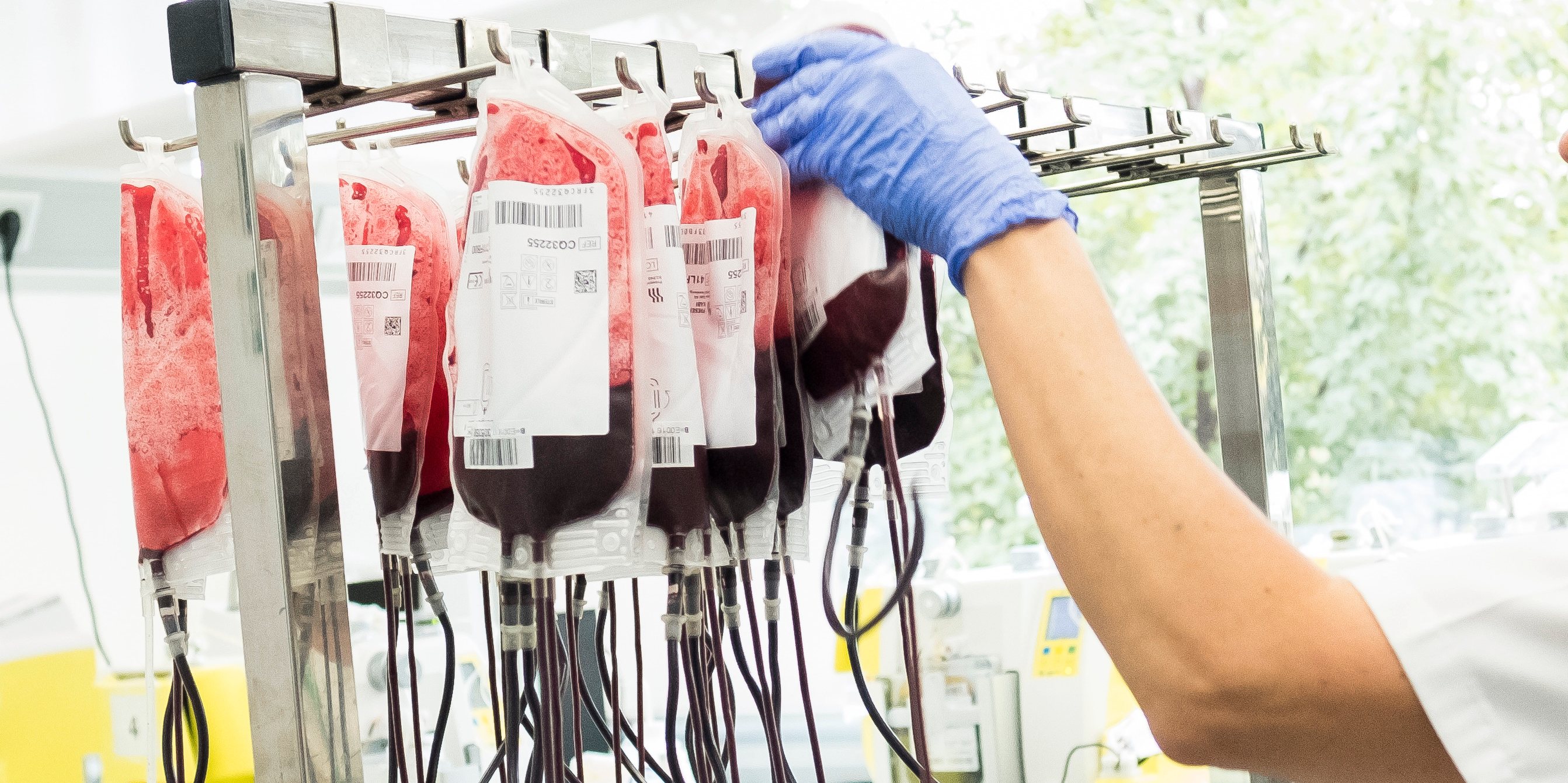 Blood Transfusion Center of Madrid