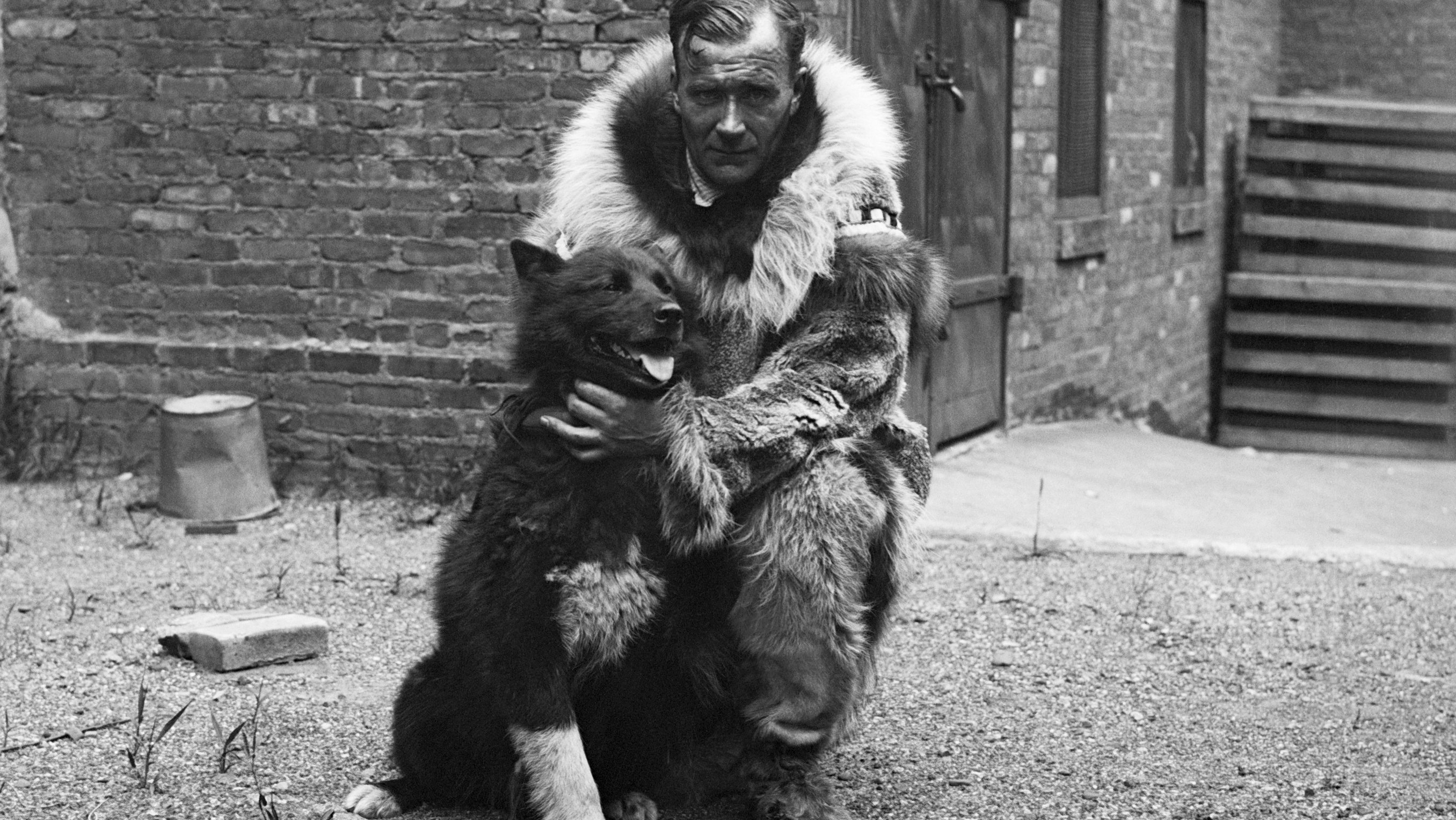 Sledder and His Famous Dog Balto