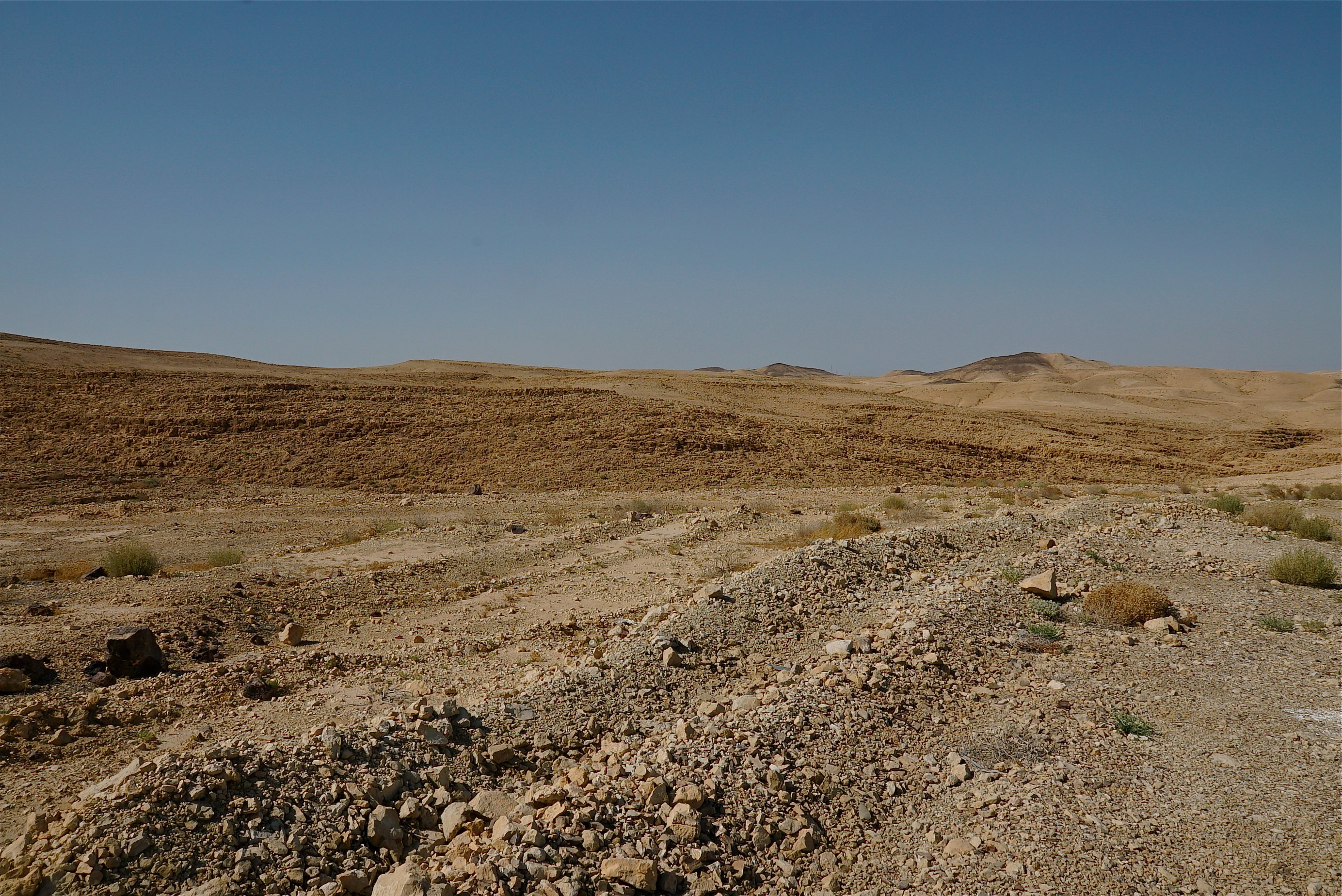 The Negev Desert