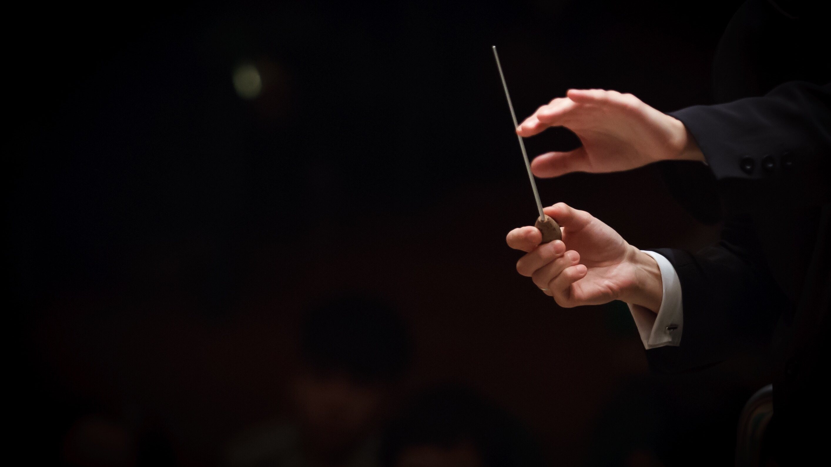 Cropped Image Of Conductor In Orchestra