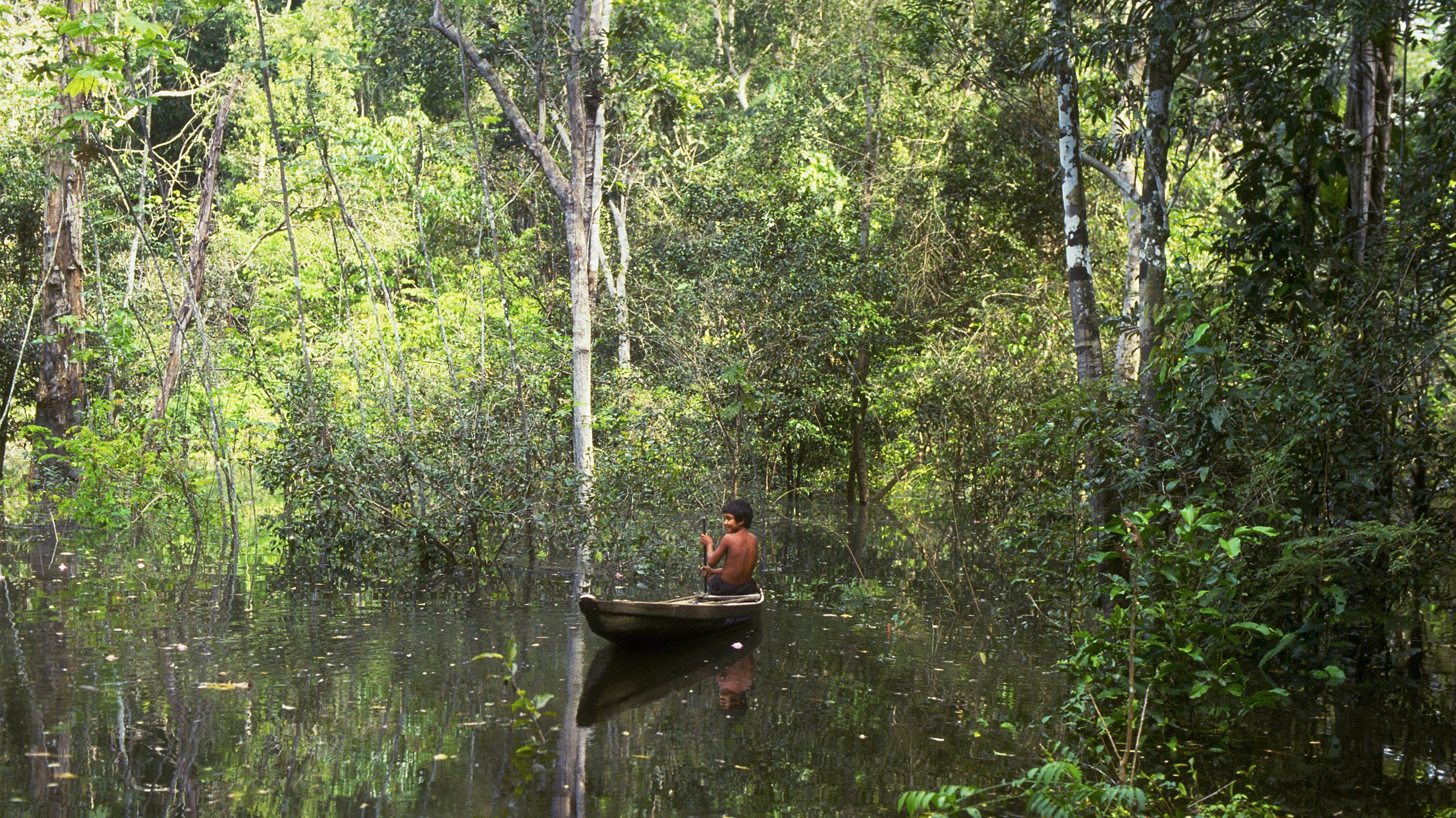 Boy in Dugout Canoe in Amazon Rainforest