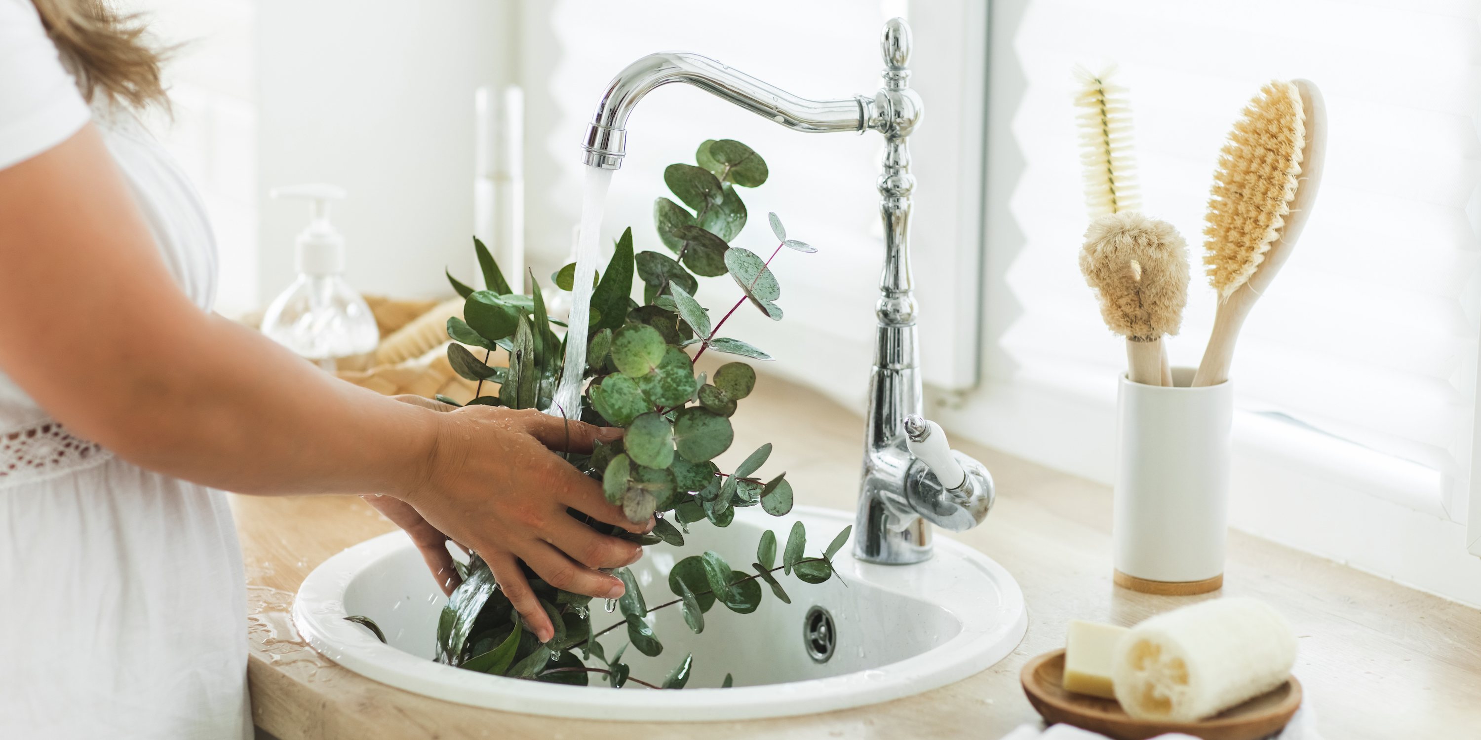 Escolha plantas que não exigem muita água para decorar a sua casa. As que mais consomem podem ficar na casa de banho